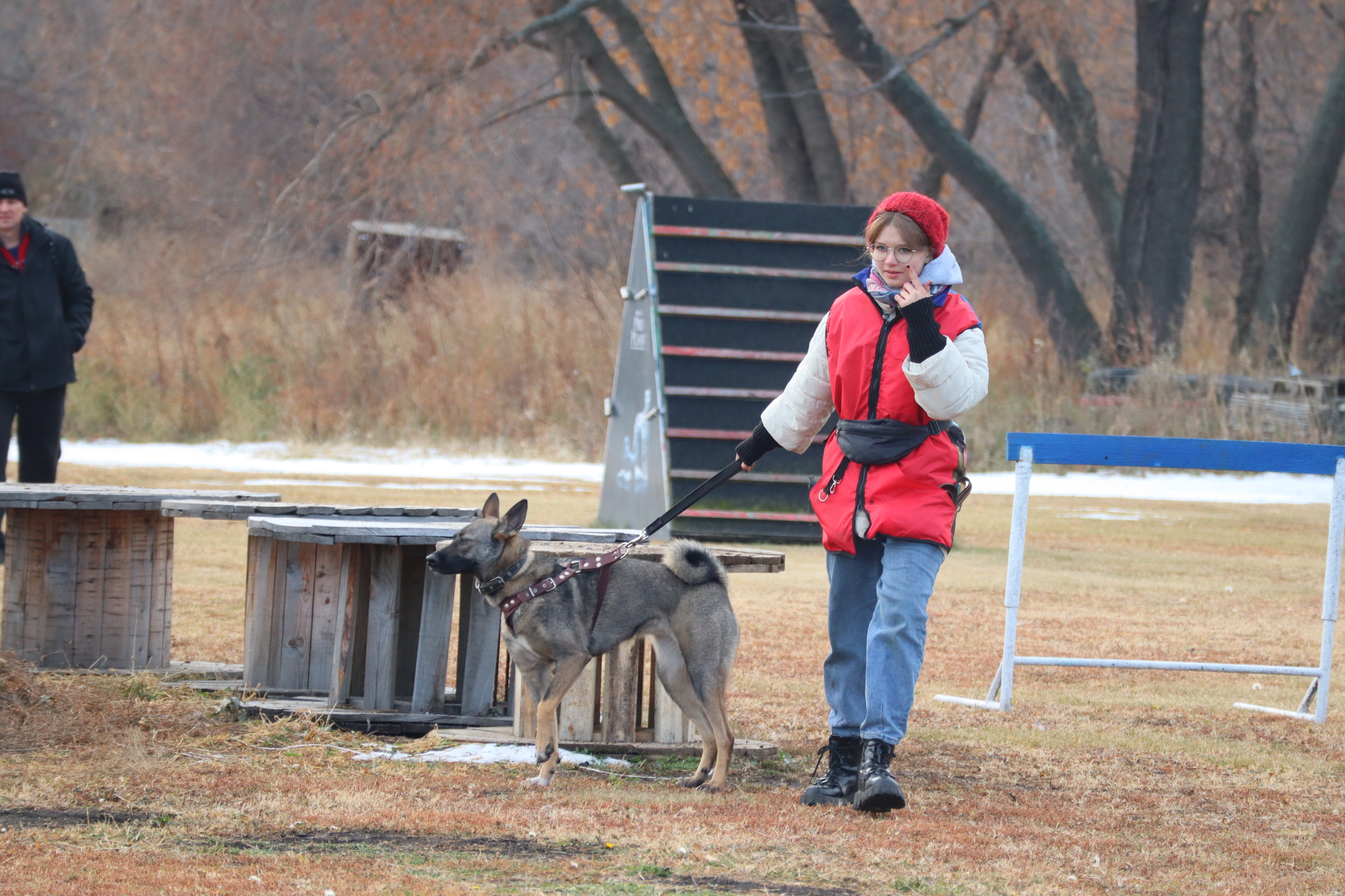 Dog training in Omsk - OCSSSS 19 - 10 - 2024 - Dog, Dog lovers, Puppies, Omsk, Training, Г“Г±Г±Г±, Friend, Care, Longpost