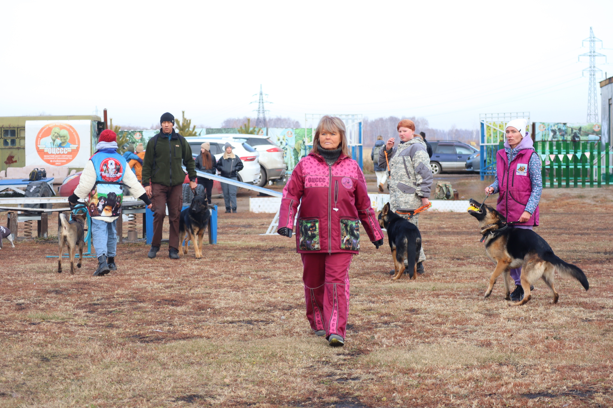 Dog training in Omsk - OCSSSS 19 - 10 - 2024 - Dog, Dog lovers, Puppies, Omsk, Training, Г“Г±Г±Г±, Friend, Care, Longpost