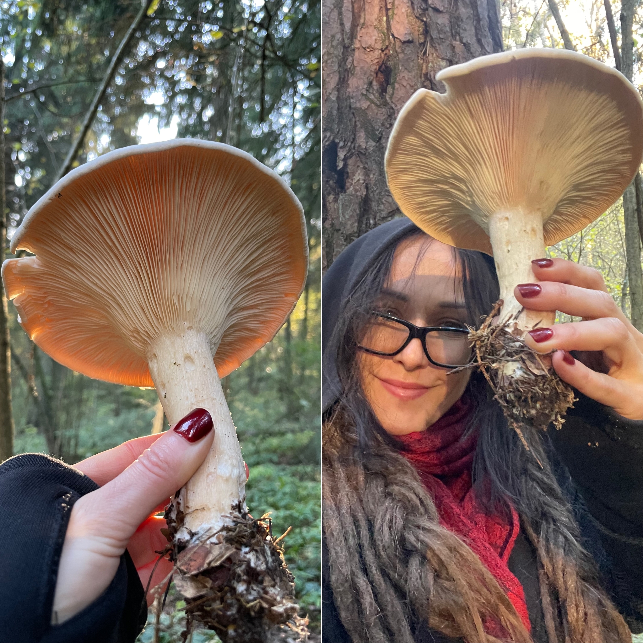 Under the mushroom) - My, Mushrooms, Forest, The photo, Selfie