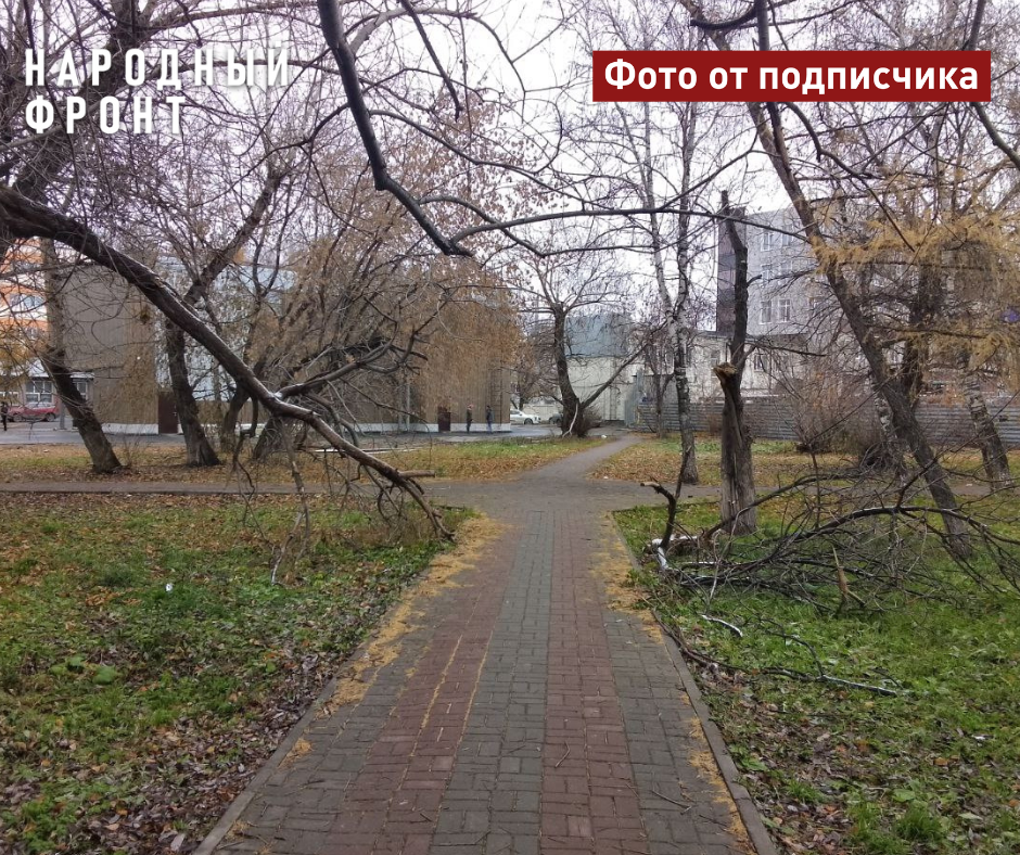 Where is the proper control over Tomsk's parks? - Tomsk, Siberia, Officials, Housing and communal services, Beautification, Square, Tomsk region, Tree, Ecology, Lawn