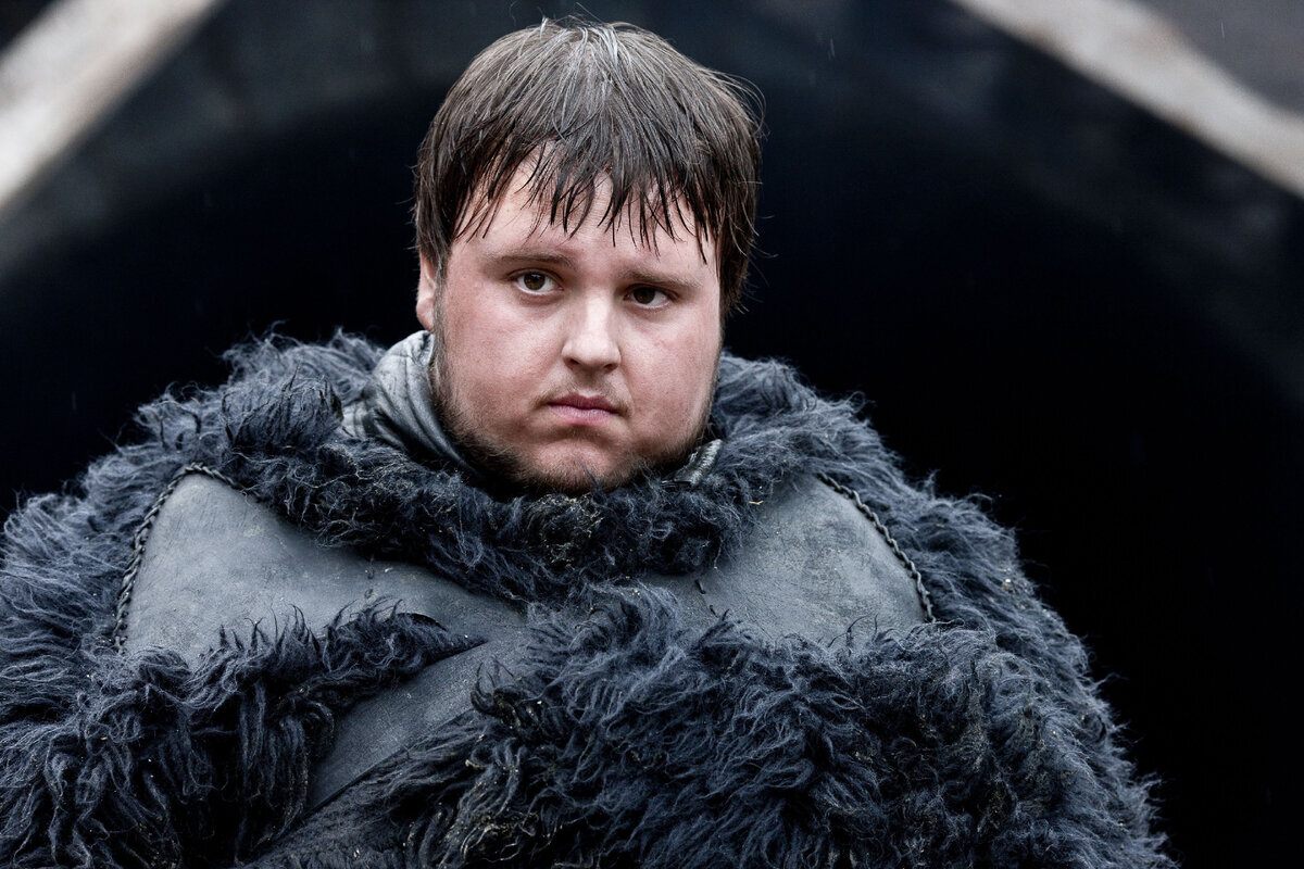 Why Sam Tarly Is The Strongest And Most Unbreakable Character On Game Of Thrones - My, Book Review, Screen adaptation, Review, Fantasy, Game of Thrones, House of the Dragon, Targaryen, Overview, Serials, Foreign serials, HBO, Lore of the universe, Books, Fantasy, Dark fantasy, What to read?, Westeros, Movie review, Characters (edit), Samwell Tarly, Longpost