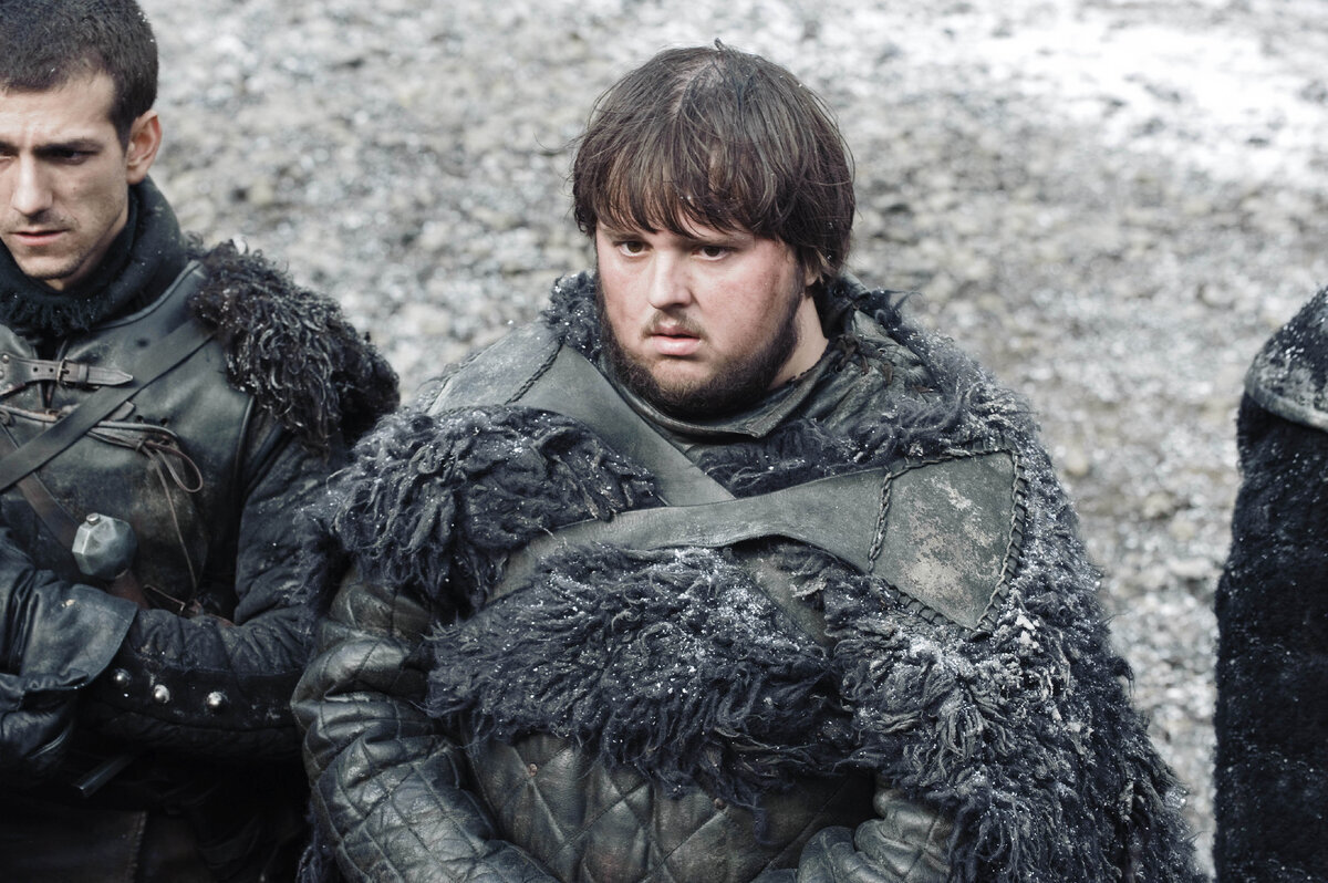 Why Sam Tarly Is The Strongest And Most Unbreakable Character On Game Of Thrones - My, Book Review, Screen adaptation, Review, Fantasy, Game of Thrones, House of the Dragon, Targaryen, Overview, Serials, Foreign serials, HBO, Lore of the universe, Books, Fantasy, Dark fantasy, What to read?, Westeros, Movie review, Characters (edit), Samwell Tarly, Longpost