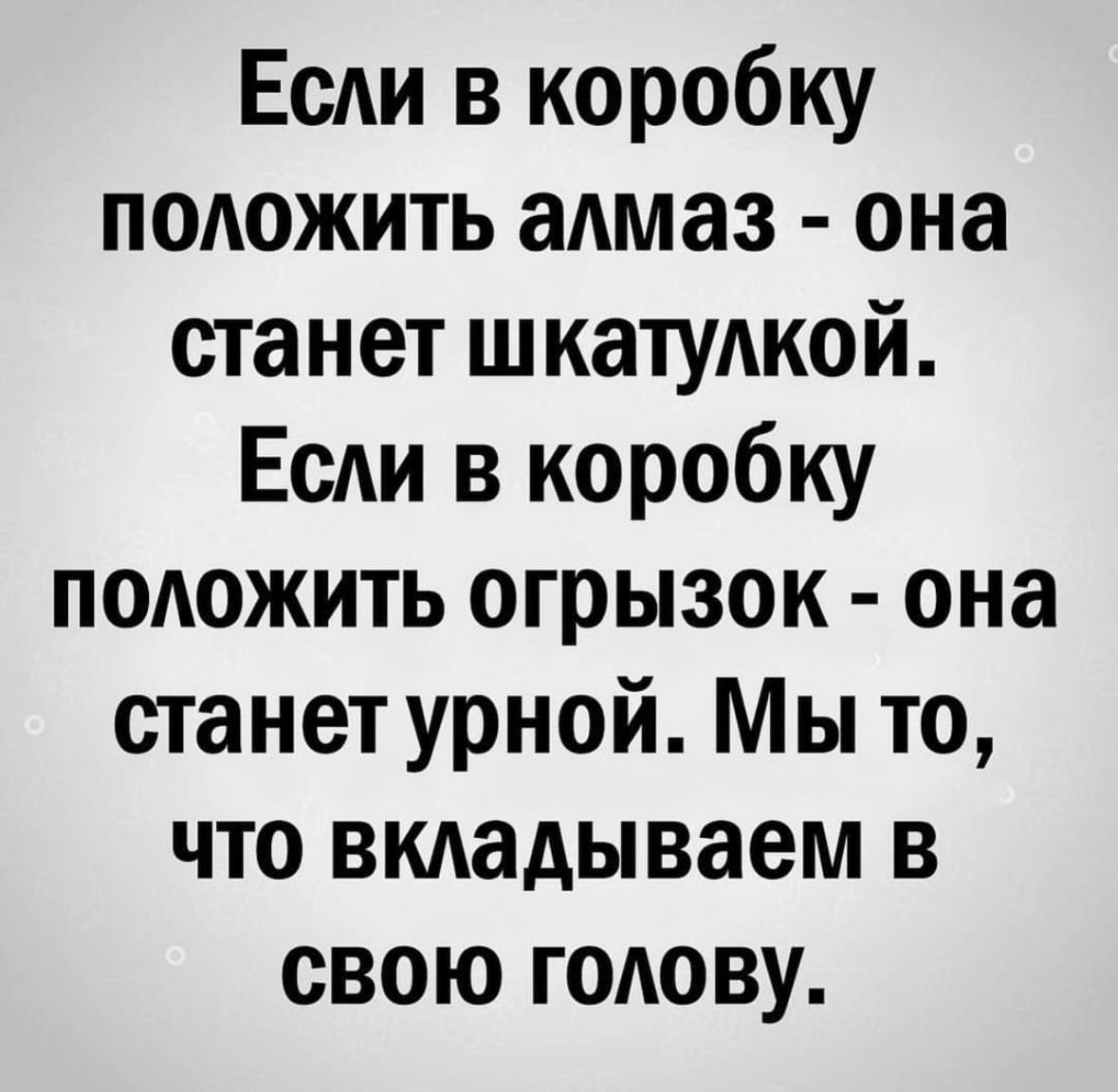 Мы то, что мы вкладываем в голову - Картинка с текстом, Мудрость, Жизненно, Голова, Мысли, Цитаты, Telegram (ссылка)