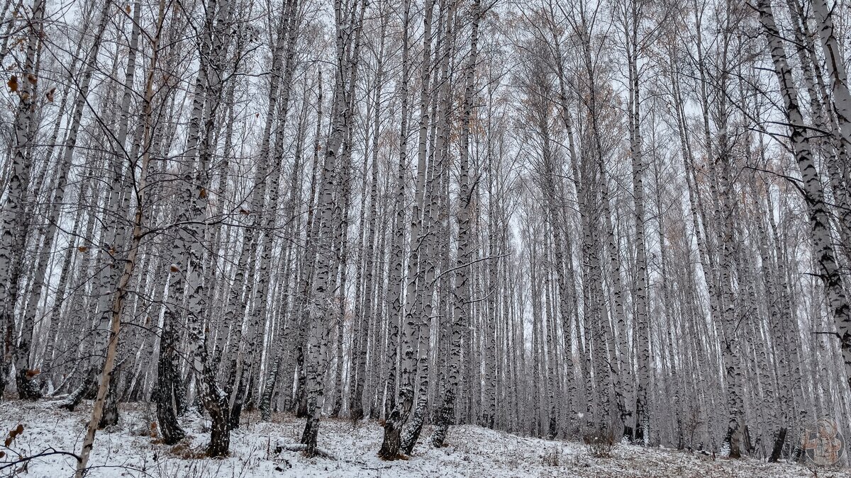 I am looking for Ural Gold. What do the dungeons of the Mindyak mine hide? - My, Abandoned, Travels, sights, Local history, The photo, Longpost