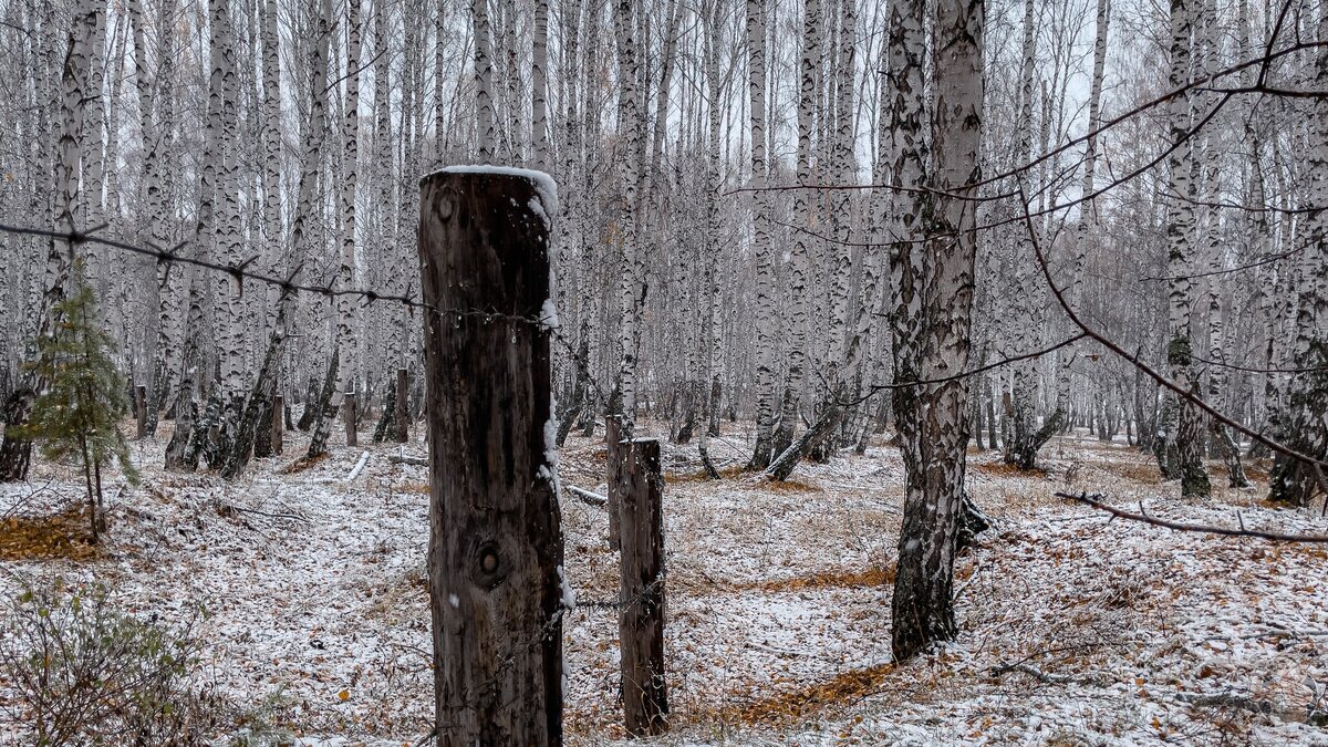 I am looking for Ural Gold. What do the dungeons of the Mindyak mine hide? - My, Abandoned, Travels, sights, Local history, The photo, Longpost