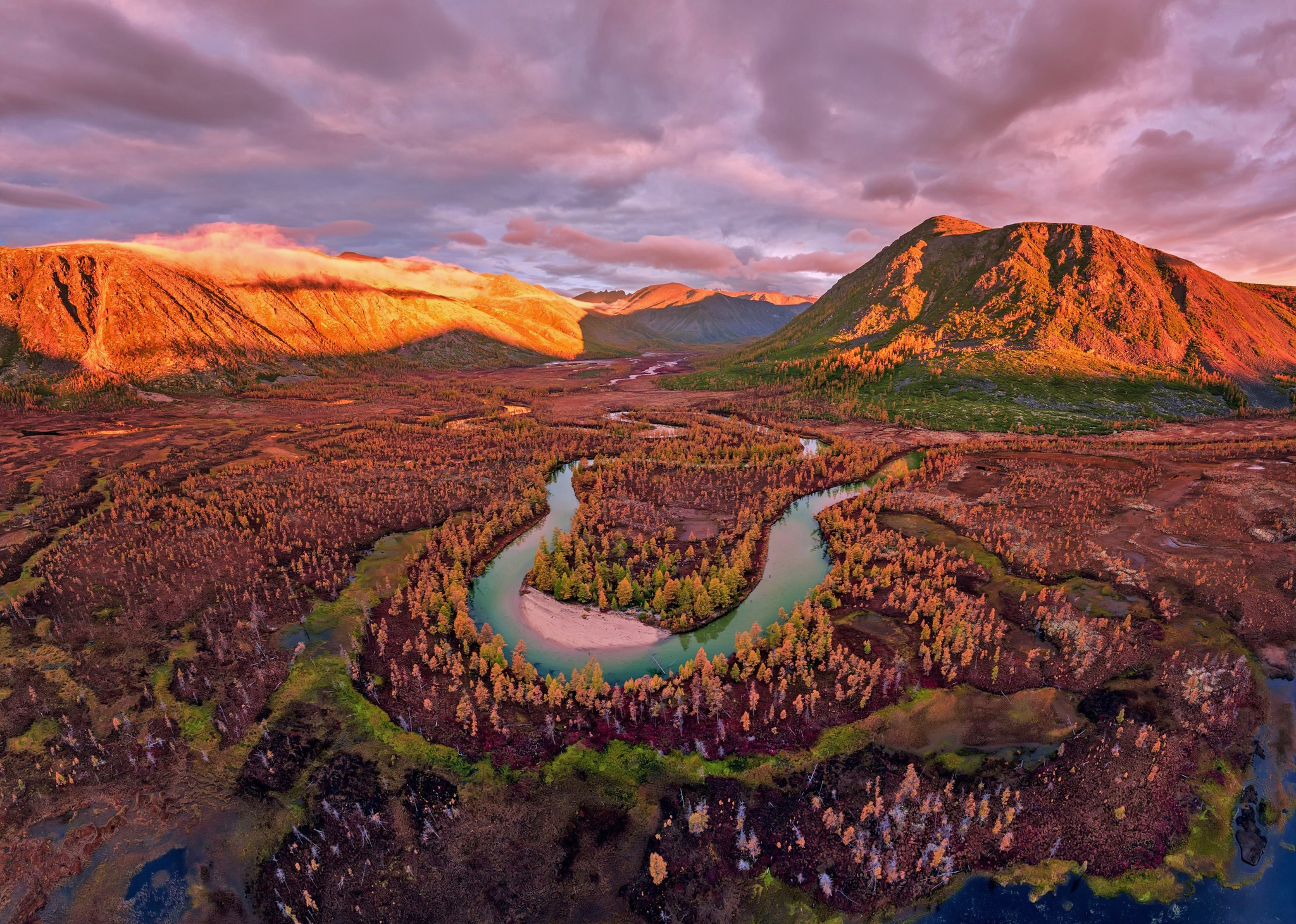 Autumn Kolyma - My, Plants, Botany, Entertaining botany, Nature, Autumn, Beautiful view, Botanical Museum, Longpost