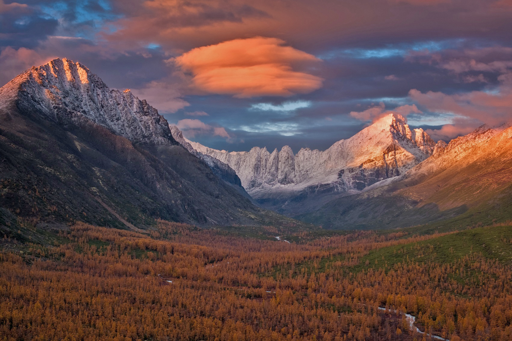 Autumn Kolyma - My, Plants, Botany, Entertaining botany, Nature, Autumn, Beautiful view, Botanical Museum, Longpost