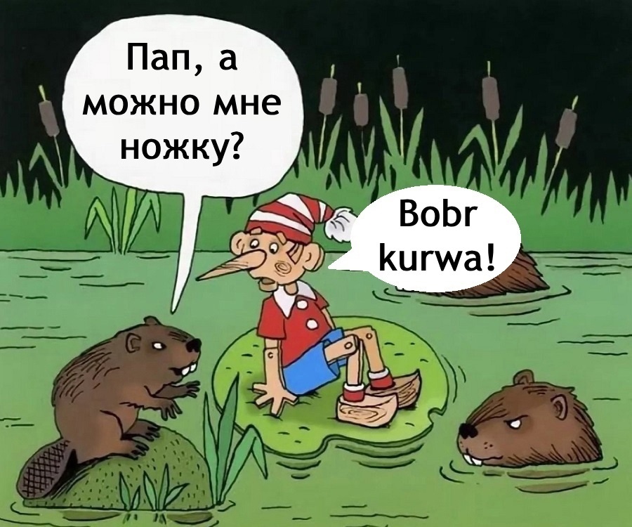 Bobr kurwa - Curva, Humor, Images, beaver whore, Picture with text, Pinocchio, Beavers