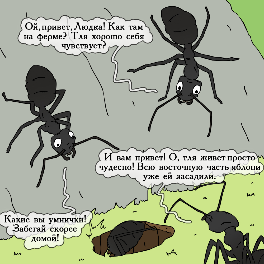 Reliable security - My, Insects, Comics, Humor, Myrmikiper, Ants, Longpost