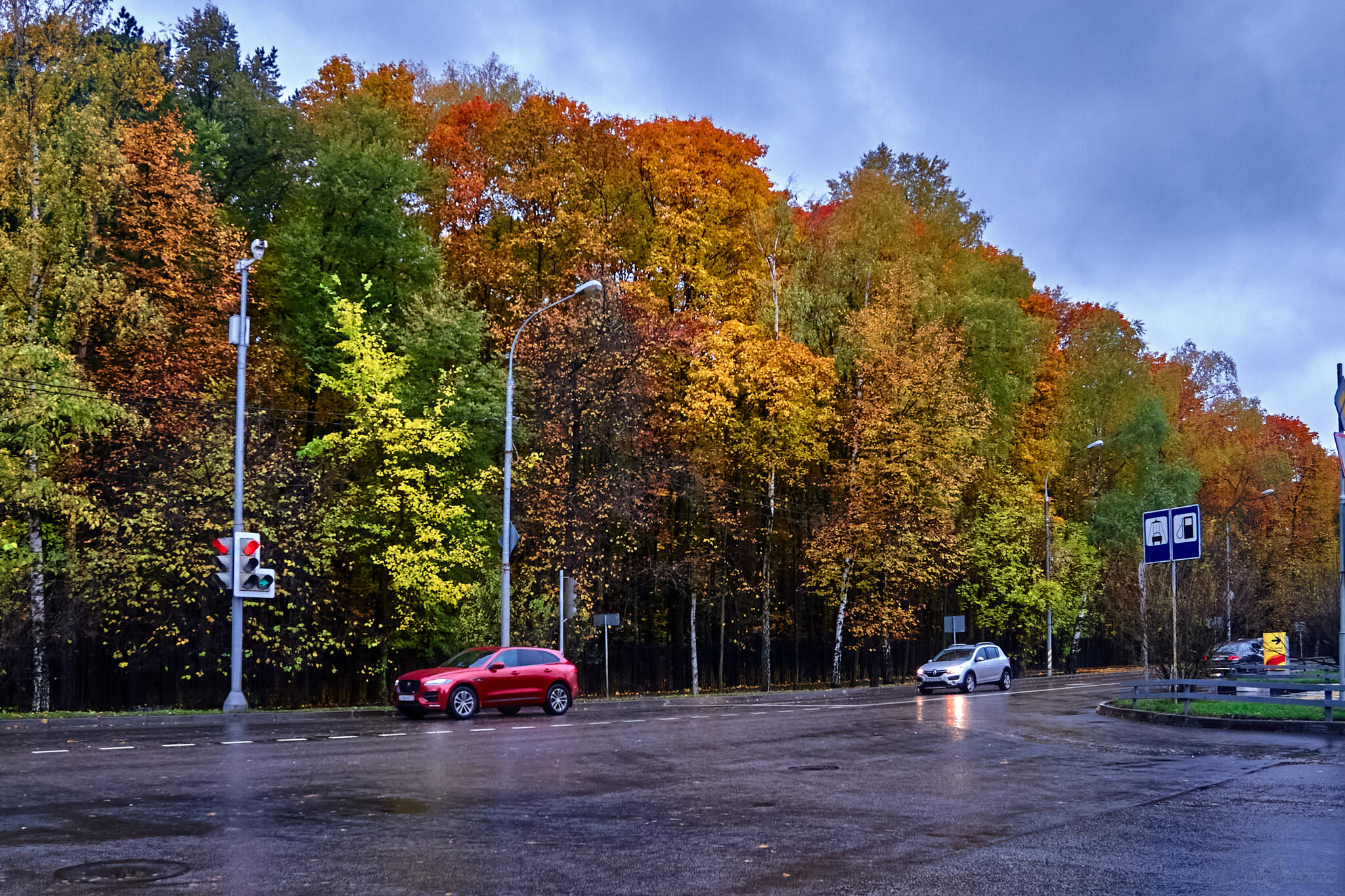 Autumn - My, Autumn, Landscape, Rain, Moscow, Evening, Moss, Autumn leaves, Longpost