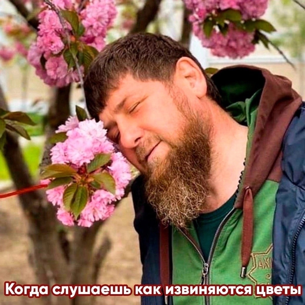 Such a nice sound - Apology, Don, Ramzan Kadyrov, Respect, Humor, Picture with text