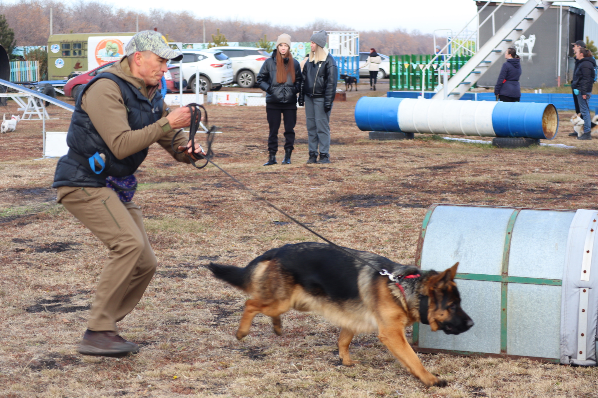 Dog training in Omsk - OCSSSS 19 - 10 - 2024 - Dog, Dog lovers, Puppies, Omsk, Training, Г“Г±Г±Г±, Friend, Care, Longpost