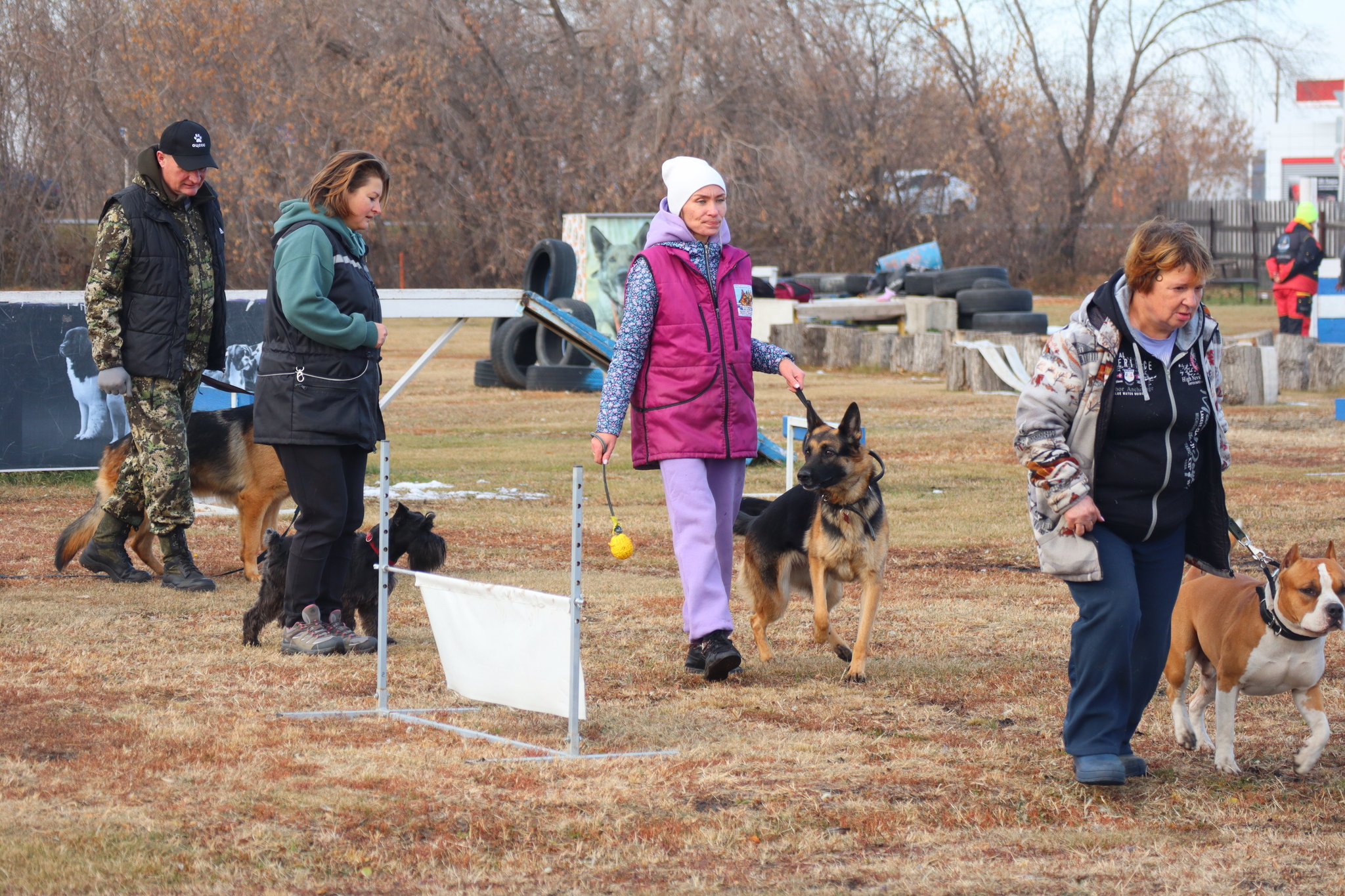 Dog training in Omsk - OCSSSS 19 - 10 - 2024 - Dog, Dog lovers, Puppies, Omsk, Training, Г“Г±Г±Г±, Friend, Care, Longpost