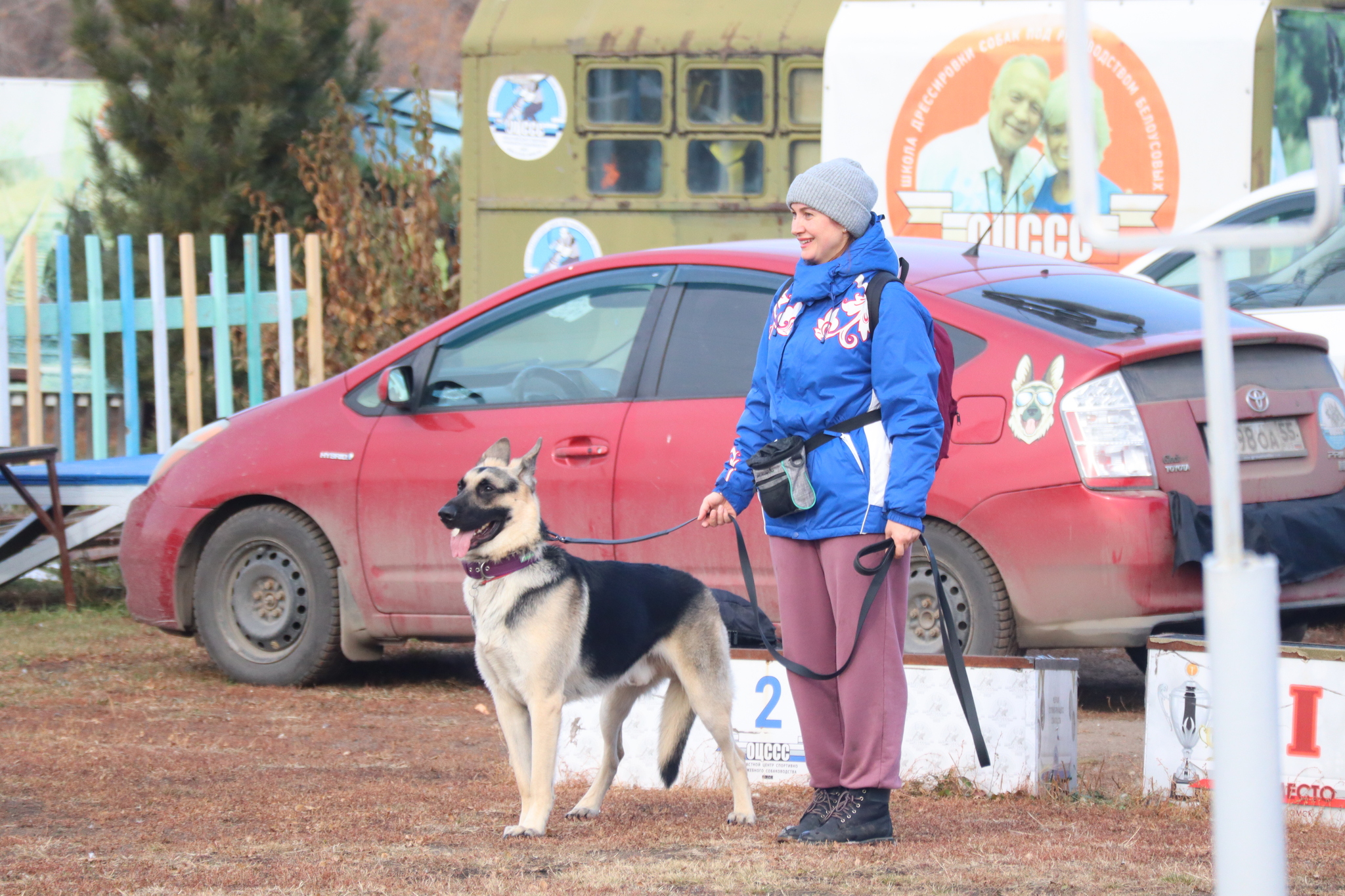 Dog training in Omsk - OCSSSS 19 - 10 - 2024 - Dog, Dog lovers, Puppies, Omsk, Training, Г“Г±Г±Г±, Friend, Care, Longpost