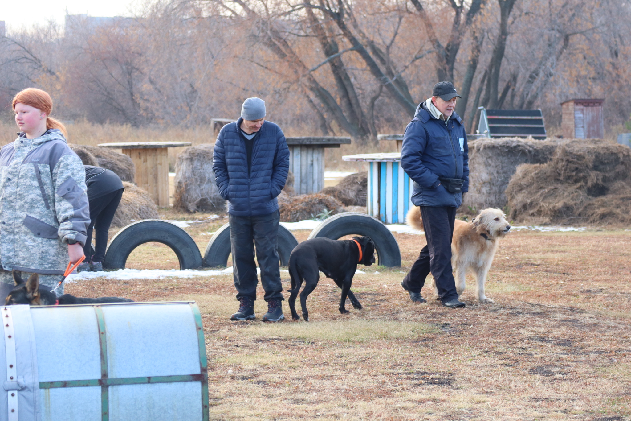 Dog training in Omsk - OCSSSS 19 - 10 - 2024 - Dog, Dog lovers, Puppies, Omsk, Training, Г“Г±Г±Г±, Friend, Care, Longpost