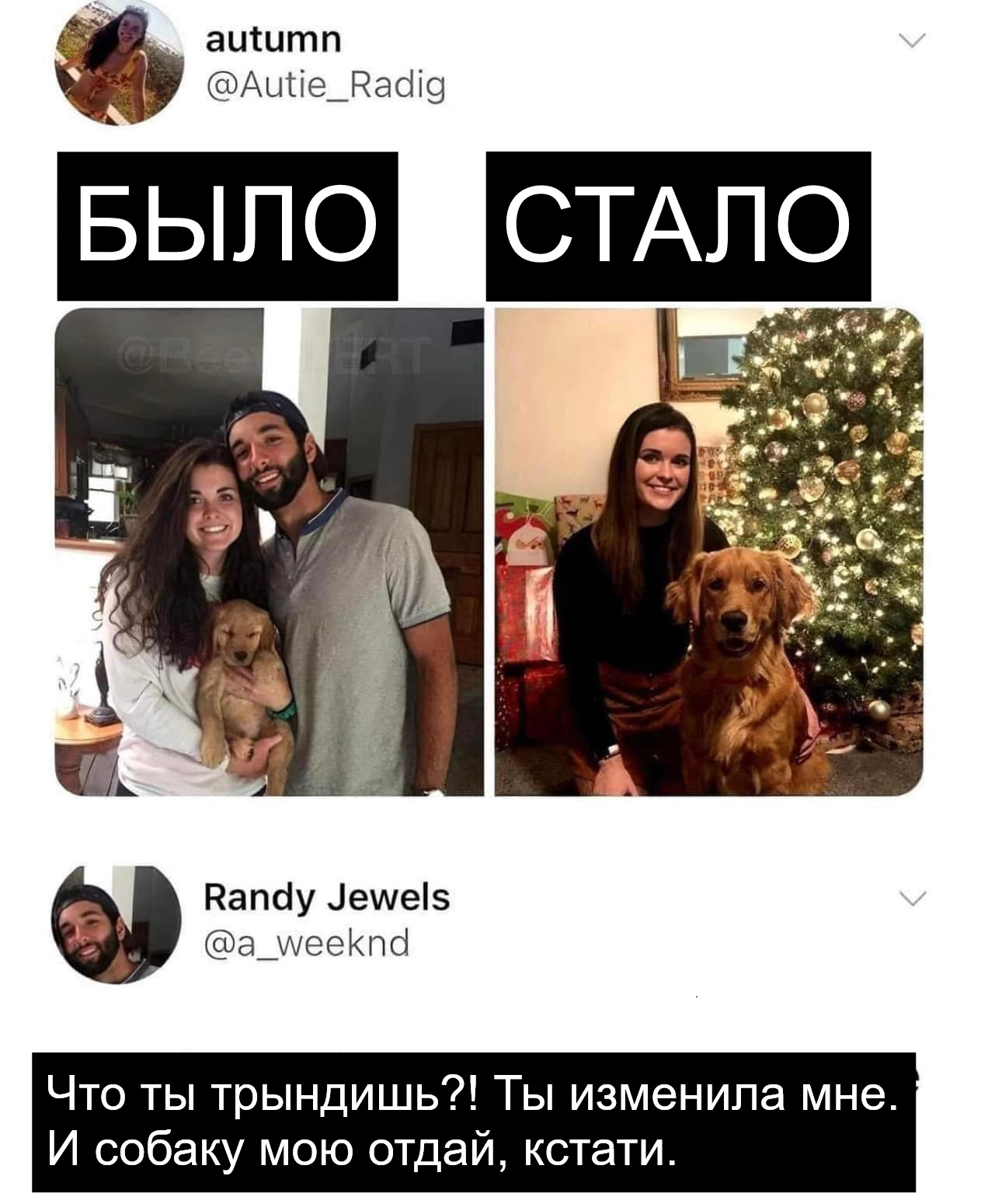 Everyday life ))) - Boyfriend, Dog, Parting, Picture with text