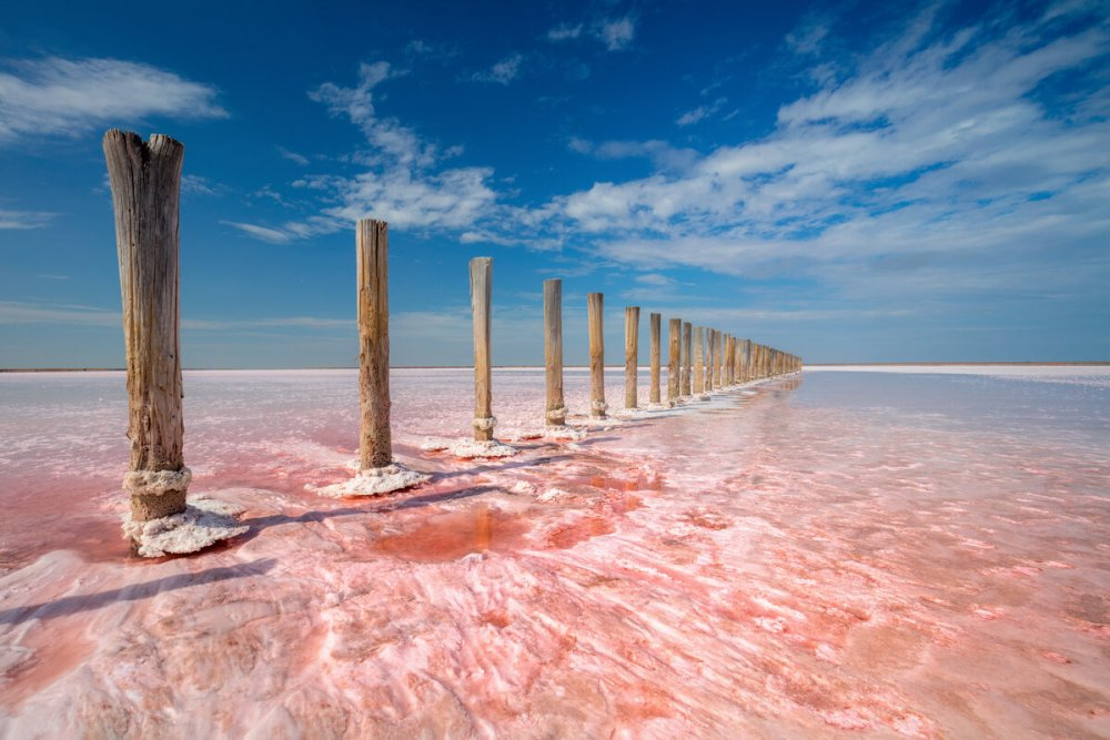 Lake Elton. Russia, Volgograd region - Russia, Travel across Russia, Nature, Travels, Volgograd region, Lake Elton, Telegram (link), Longpost