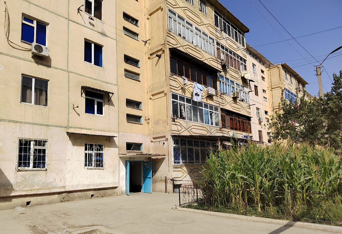 How Uzbeks Live - A Typical Apartment in Uzbekistan - Uzbekistan, Uzbeks, Bukhara, A life, Apartment, Everyday life, Lodging, Want to know everything, Yandex Zen (link), Informative, The property, Foreign, Near Abroad, Longpost, Samarkand, Habits, Traditions