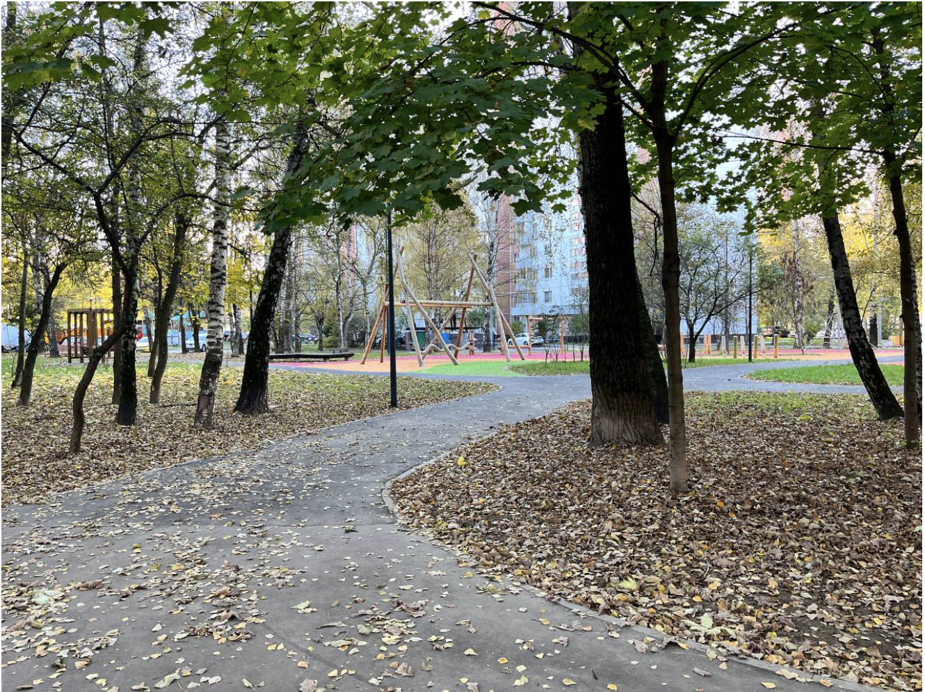 Dogs Without Borders: How My Neighbors and I Are Looking for a Dog Playground Fence - Dog, Town, Urbanism, Beautification, Longpost, My, Quad Bearers, Training, The park, Dog lovers, Walk, Friend, District, Moscow, Stupidity