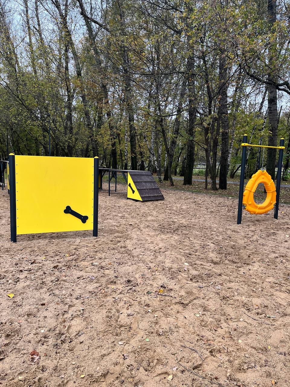 Dogs Without Borders: How My Neighbors and I Are Looking for a Dog Playground Fence - Dog, Town, Urbanism, Beautification, Longpost, My, Quad Bearers, Training, The park, Dog lovers, Walk, Friend, District, Moscow, Stupidity