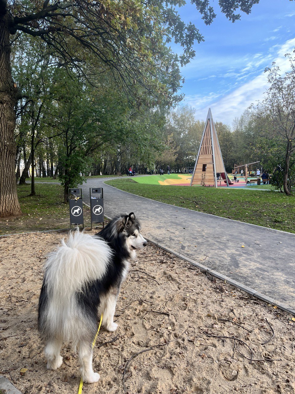 Dogs Without Borders: How My Neighbors and I Are Looking for a Dog Playground Fence - Dog, Town, Urbanism, Beautification, Longpost, My, Quad Bearers, Training, The park, Dog lovers, Walk, Friend, District, Moscow, Stupidity