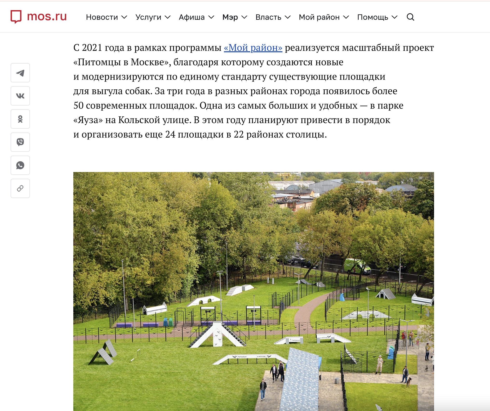 Dogs Without Borders: How My Neighbors and I Are Looking for a Dog Playground Fence - Dog, Town, Urbanism, Beautification, Longpost, My, Quad Bearers, Training, The park, Dog lovers, Walk, Friend, District, Moscow, Stupidity