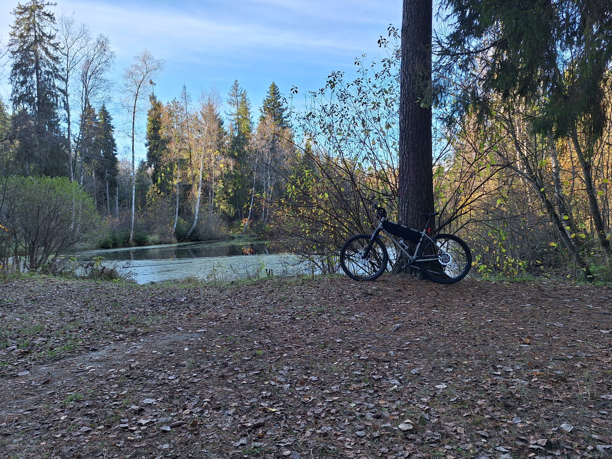 A bit of autumn Schultz - My, Bike ride, A bike