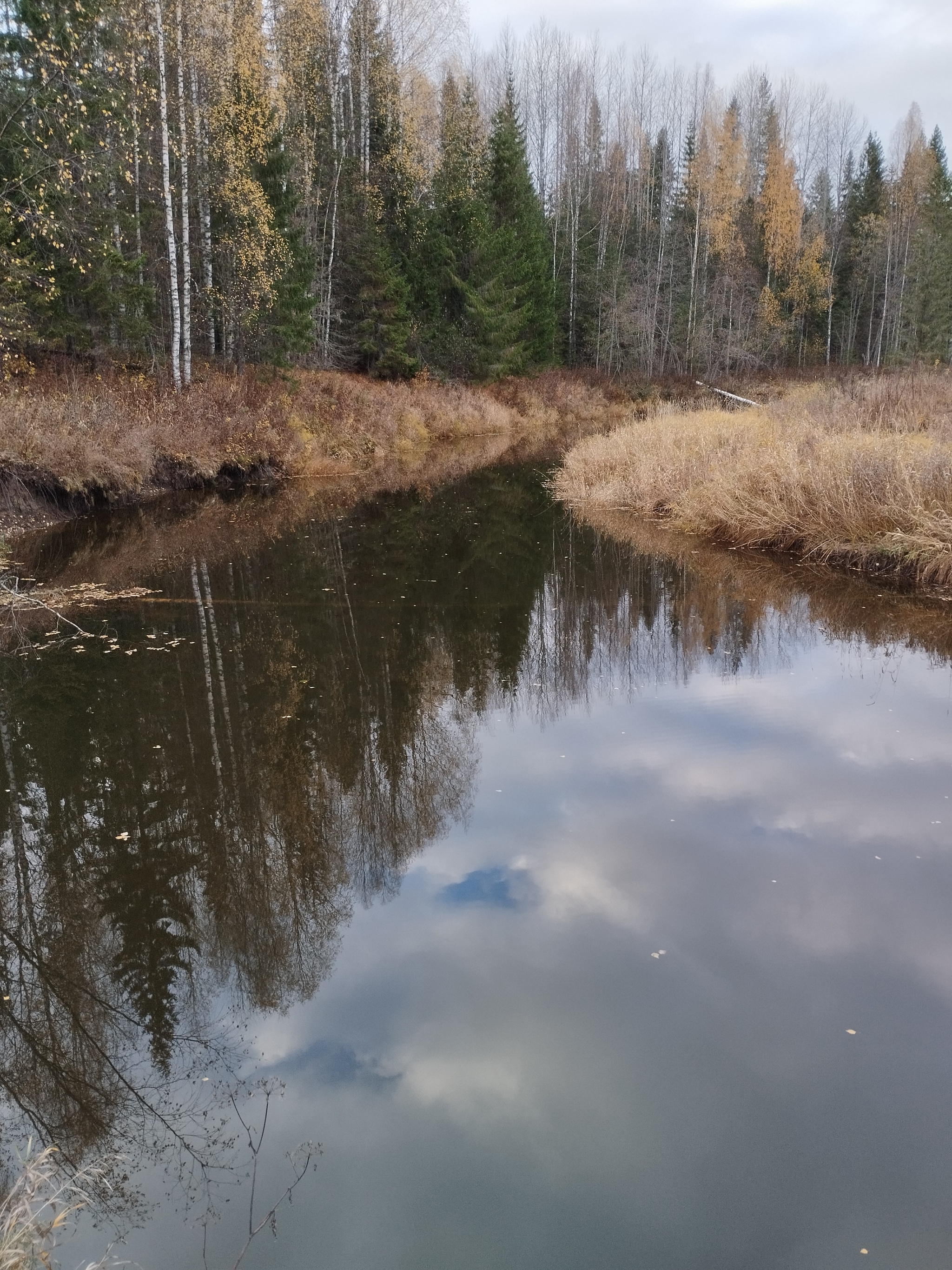 What do you have against Beavers?! - My, Beavers, River, A fish, A boat, Dam, Republic of Belarus, Longpost