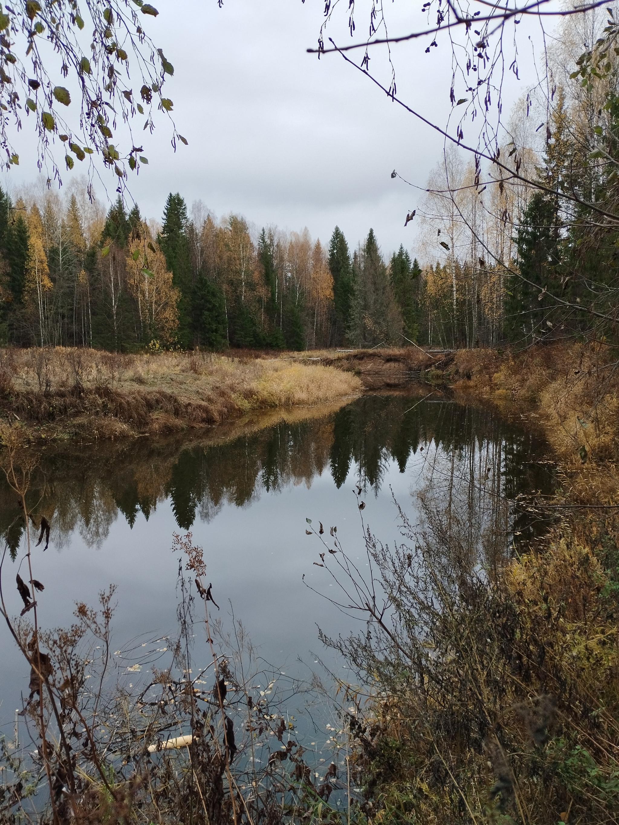 What do you have against Beavers?! - My, Beavers, River, A fish, A boat, Dam, Republic of Belarus, Longpost