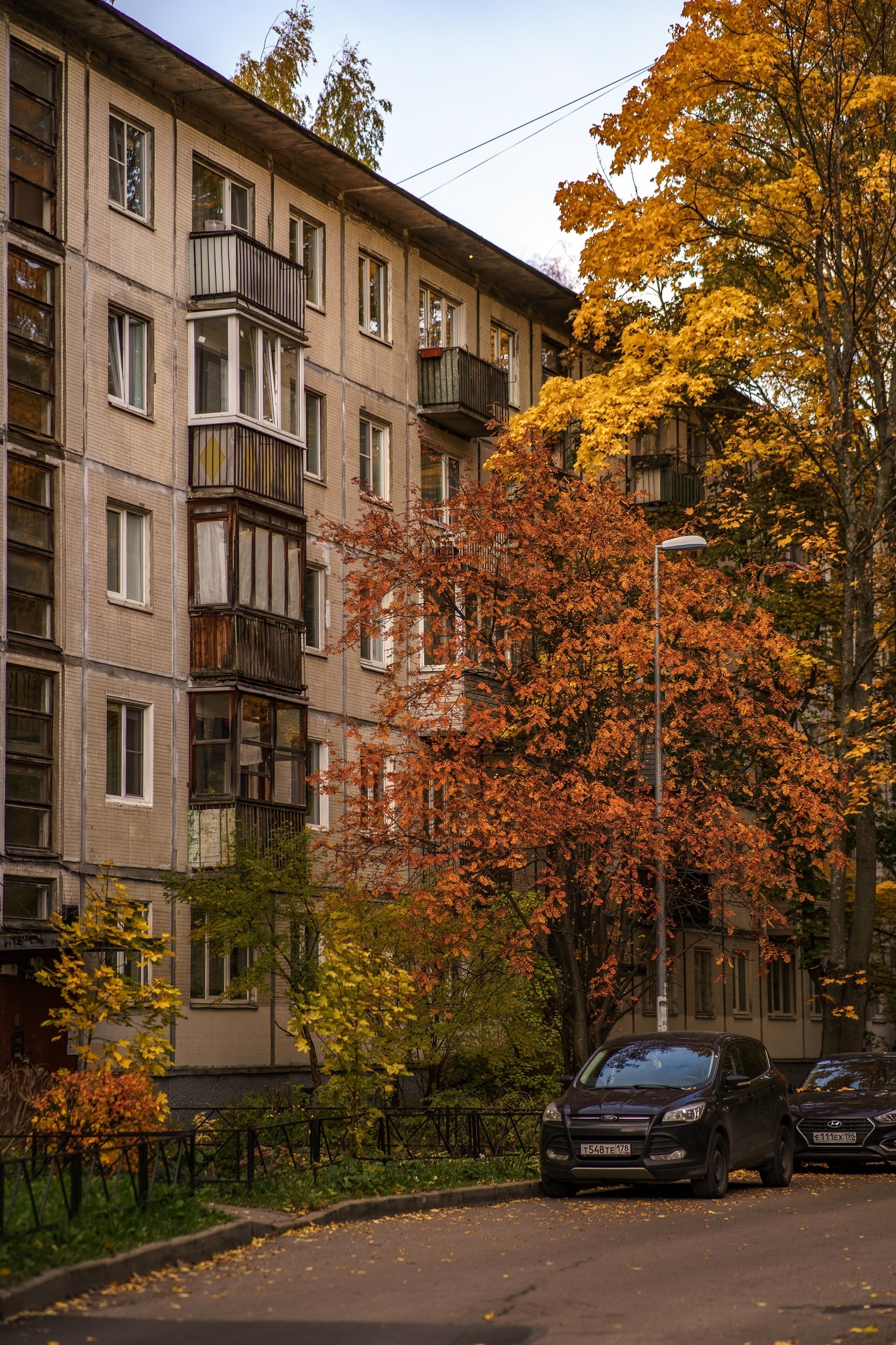 Autumn in St. Petersburg courtyards - My, The photo, Town, Evening, Saint Petersburg, Sunset, cat, Courtyard, AvtoVAZ, Autumn, Gaz-24 Volga, Longpost