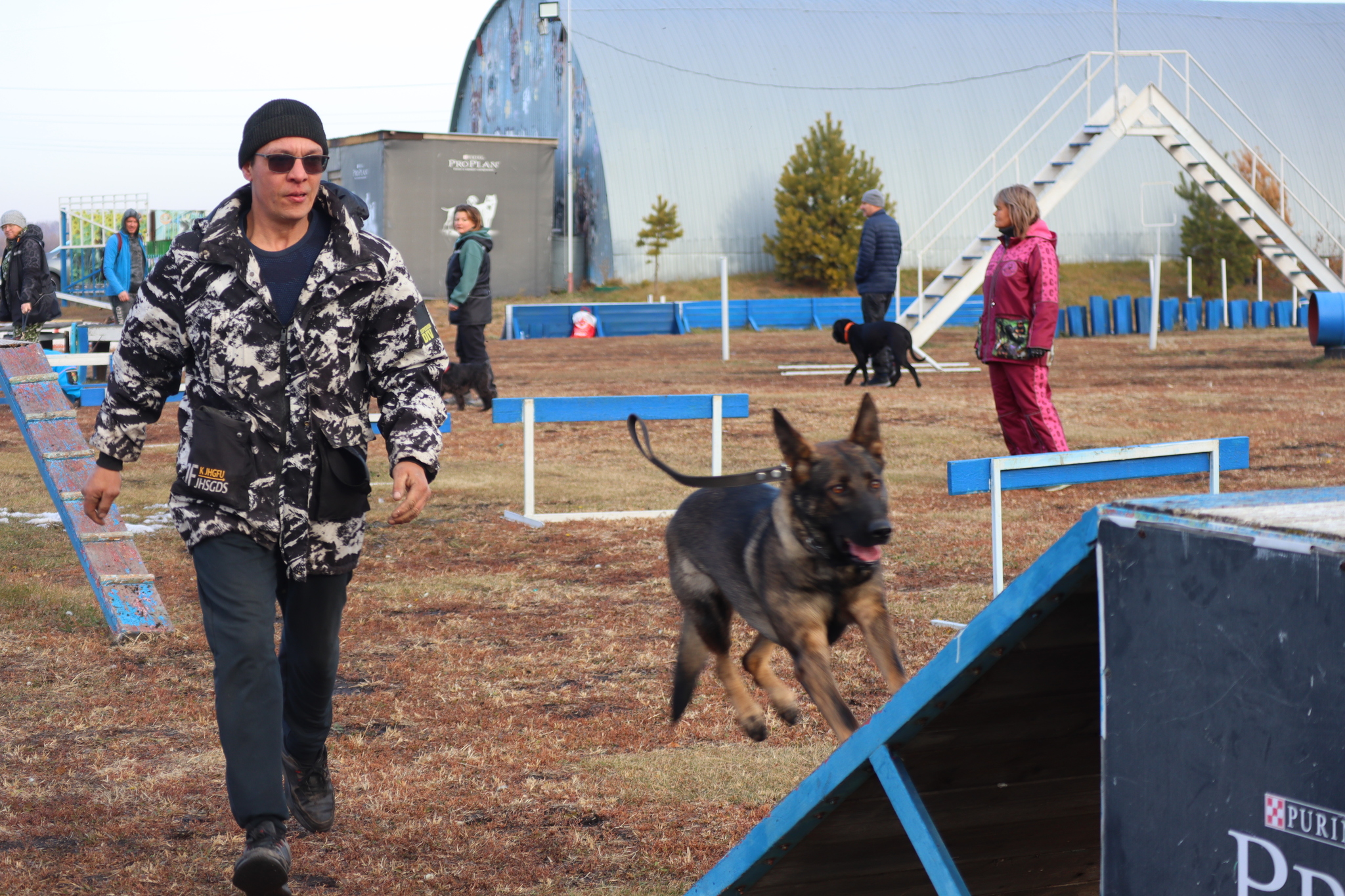 Dog training in Omsk - OCSSSS 19 - 10 - 2024 - Dog, Dog lovers, Puppies, Omsk, Training, Г“Г±Г±Г±, Friend, Care, Longpost