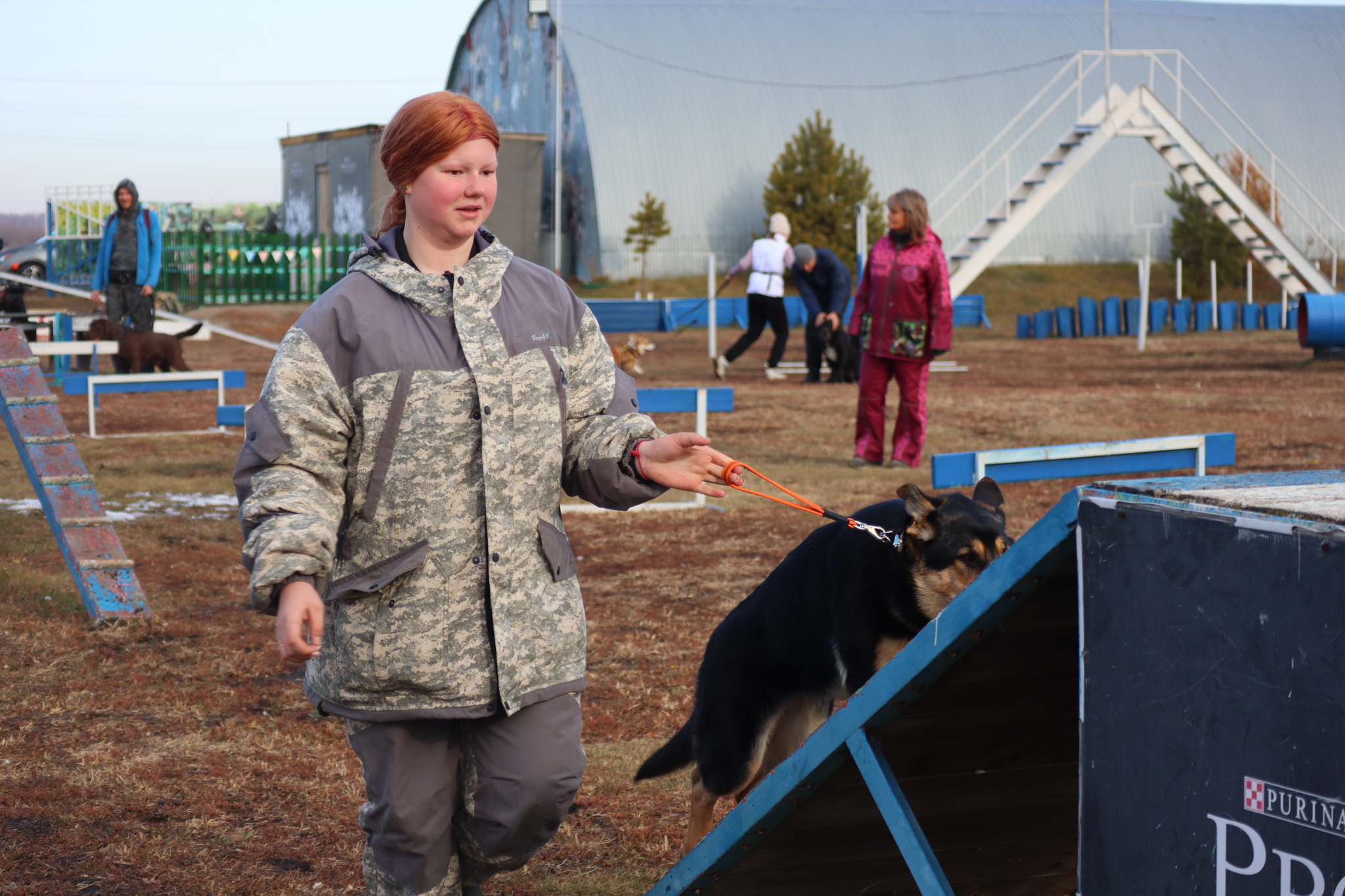 Dog training in Omsk - OCSSSS 19 - 10 - 2024 - Dog, Dog lovers, Puppies, Omsk, Training, Г“Г±Г±Г±, Friend, Care, Longpost