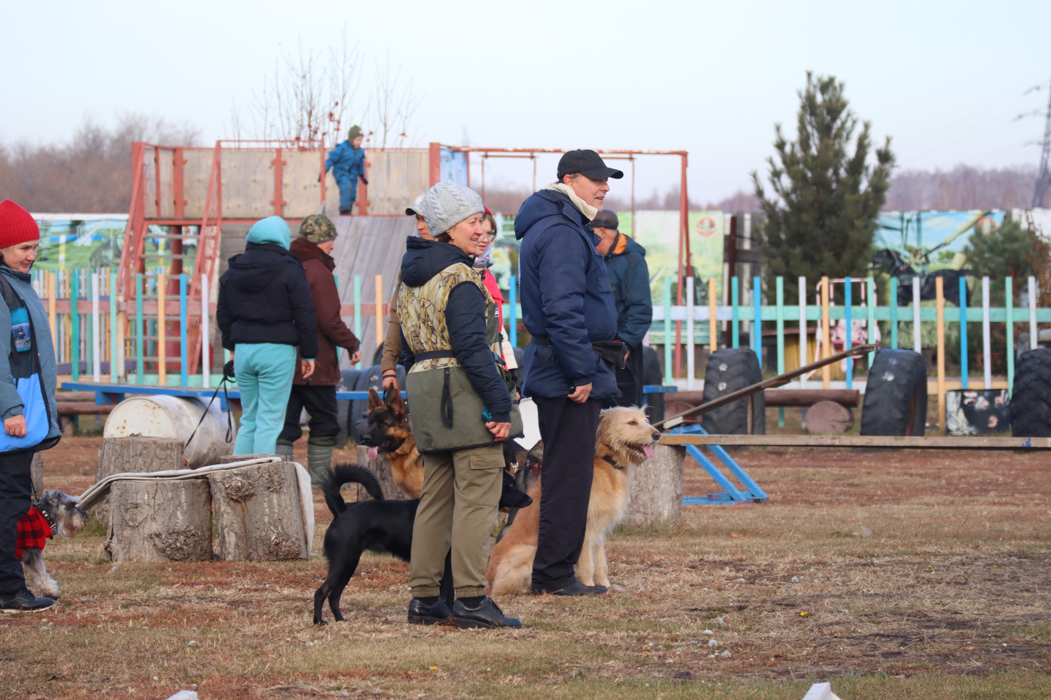 Dog training in Omsk - OCSSSS 19 - 10 - 2024 - Dog, Dog lovers, Puppies, Omsk, Training, Г“Г±Г±Г±, Friend, Care, Longpost