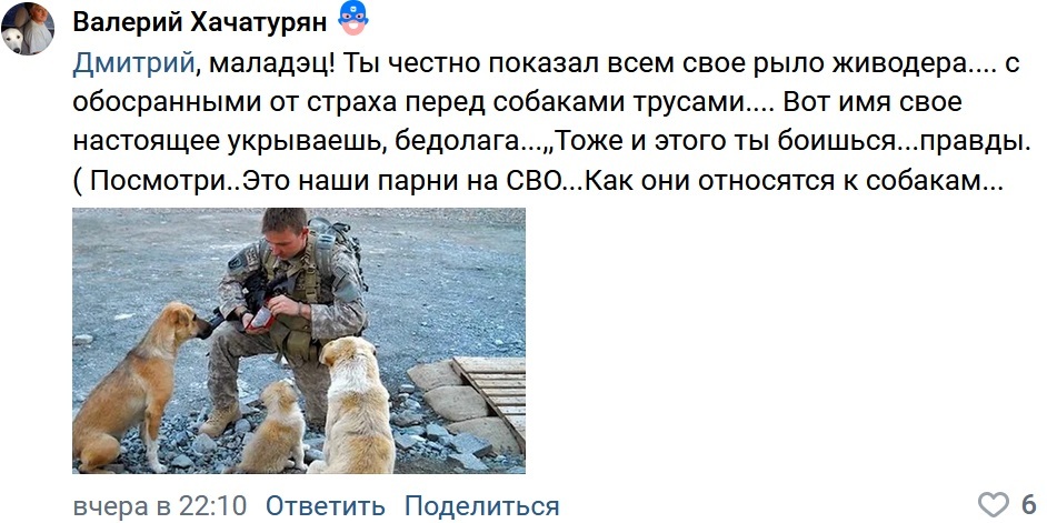 Whose are you? - Radical animal protection, Urban crazy, Screenshot, VKontakte (link), Stray dogs, Negative, Special operation