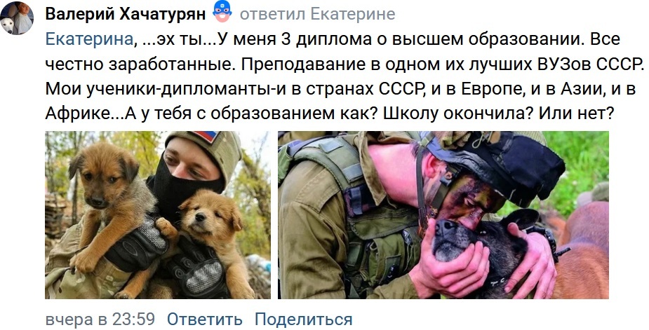 Whose are you? - Radical animal protection, Urban crazy, Screenshot, VKontakte (link), Stray dogs, Negative, Special operation