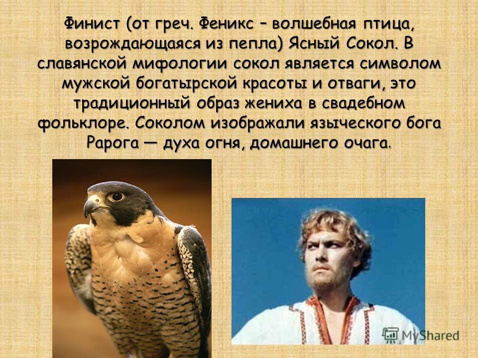 Finist the Bright Falcon. Another fairy tale from childhood... - Soviet cinema, Photos from filming, Classic, Nostalgia, Soviet actors, Mikhail Pugovkin, Mikhail Kononov, Alexander Rou, 70th, Yandex Zen (link), Video, Youtube, Longpost