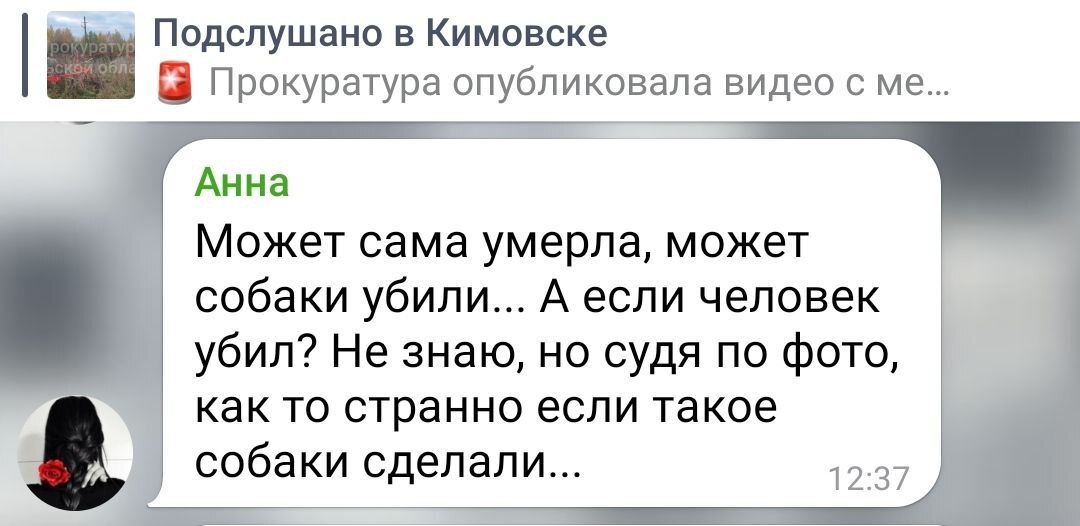 Любители запаха собаченьки или просто зоорадикалы уже вовсю отмазывают кимовских людоедов - Негатив, Новости, Общество, Смерть, СМИ и пресса, Радикальная зоозащита, Зоозащитники, Кимовск, Бродячие собаки, Собака, Длиннопост