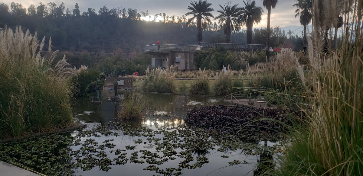 Bicentenario Park. Santiago. Chile - My, A bike, Solo travel, Bike trip, Travels, Cyclist, Bike ride, South America, Andes, The park, Walk, The mountains, Video, Youtube, Longpost, The photo