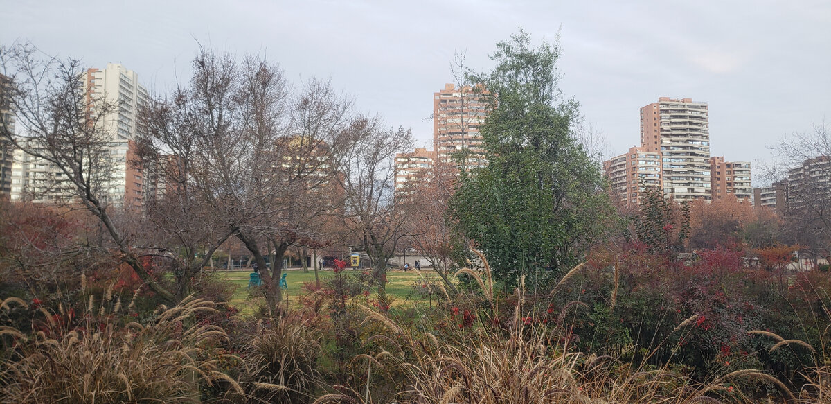 Bicentenario Park. Santiago. Chile - My, A bike, Solo travel, Bike trip, Travels, Cyclist, Bike ride, South America, Andes, The park, Walk, The mountains, Video, Youtube, Longpost, The photo