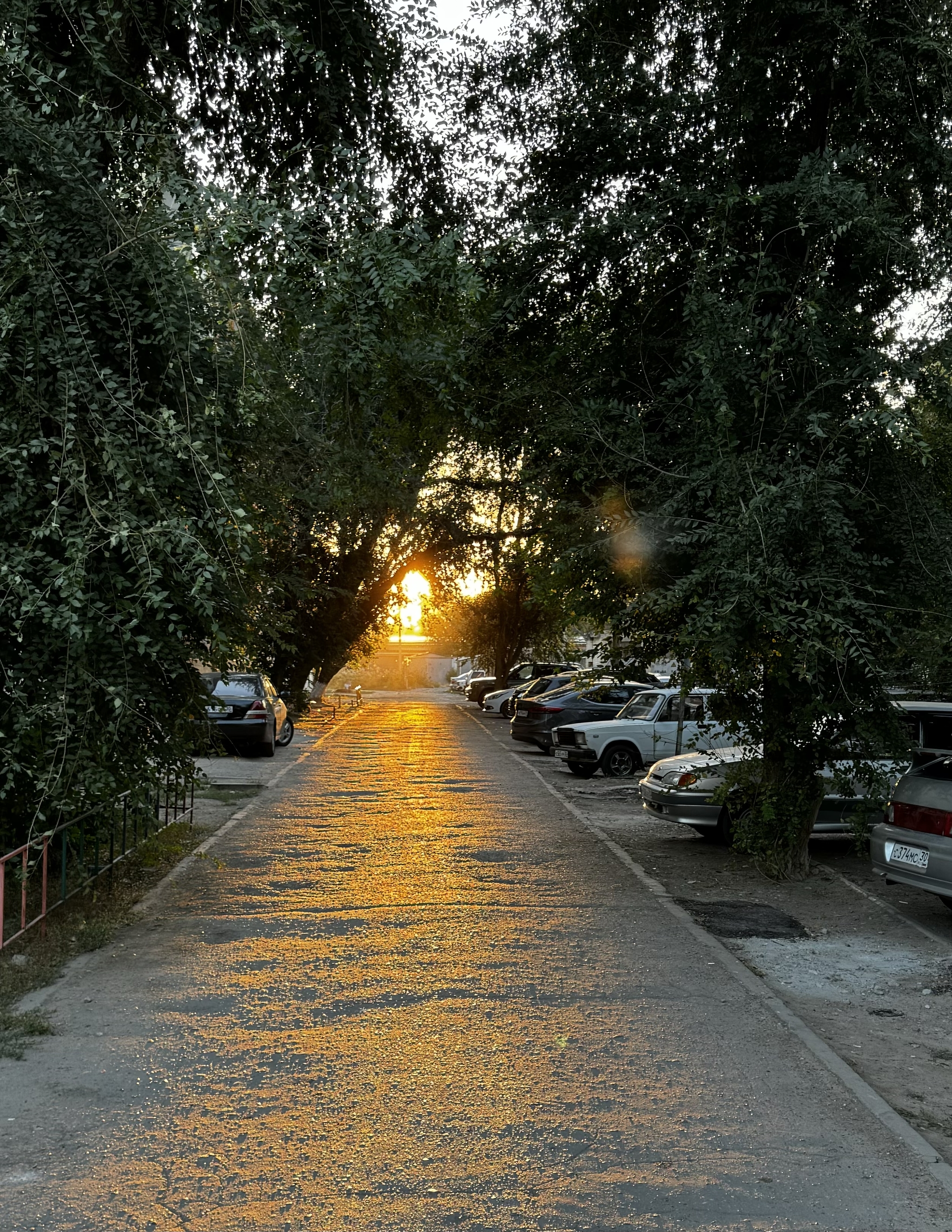 Summer is fading into the sunset... - My, The photo, Summer, Sunset, Courtyard, The sun