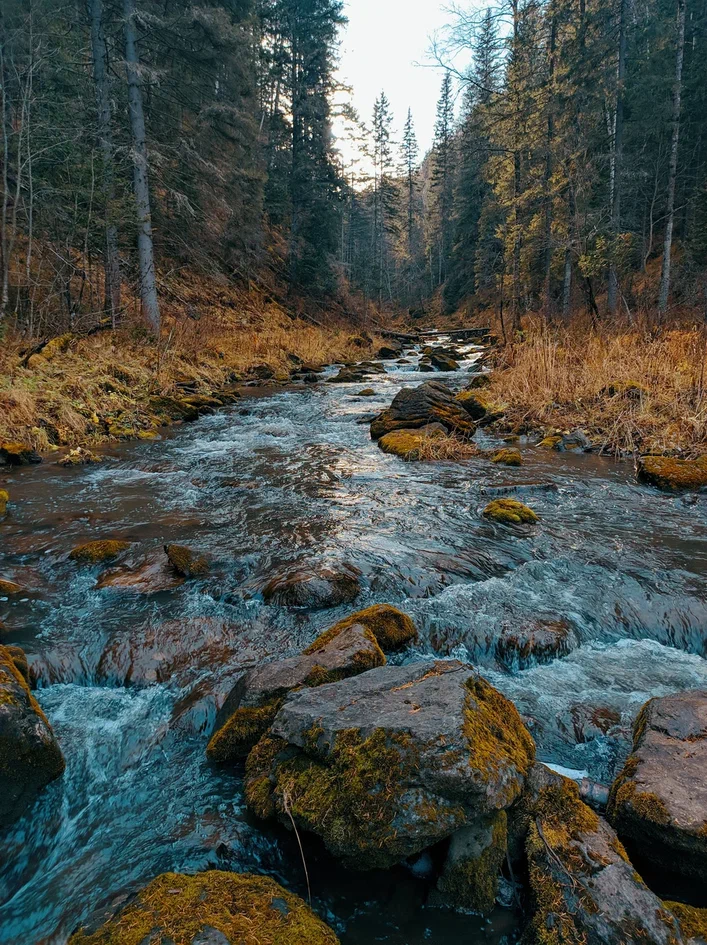 Salair taiga - My, Mobile photography, Water, Salair, Canyon, Taiga, Autumn, Longpost