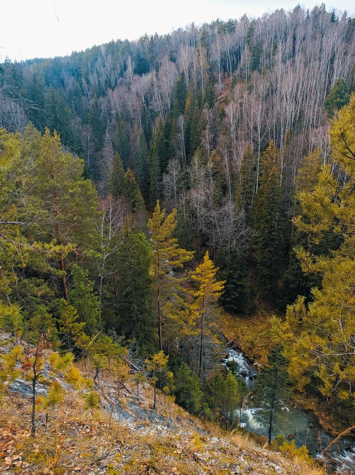 Salair taiga - My, Mobile photography, Water, Salair, Canyon, Taiga, Autumn, Longpost