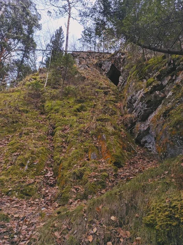 Salair taiga - My, Mobile photography, Water, Salair, Canyon, Taiga, Autumn, Longpost