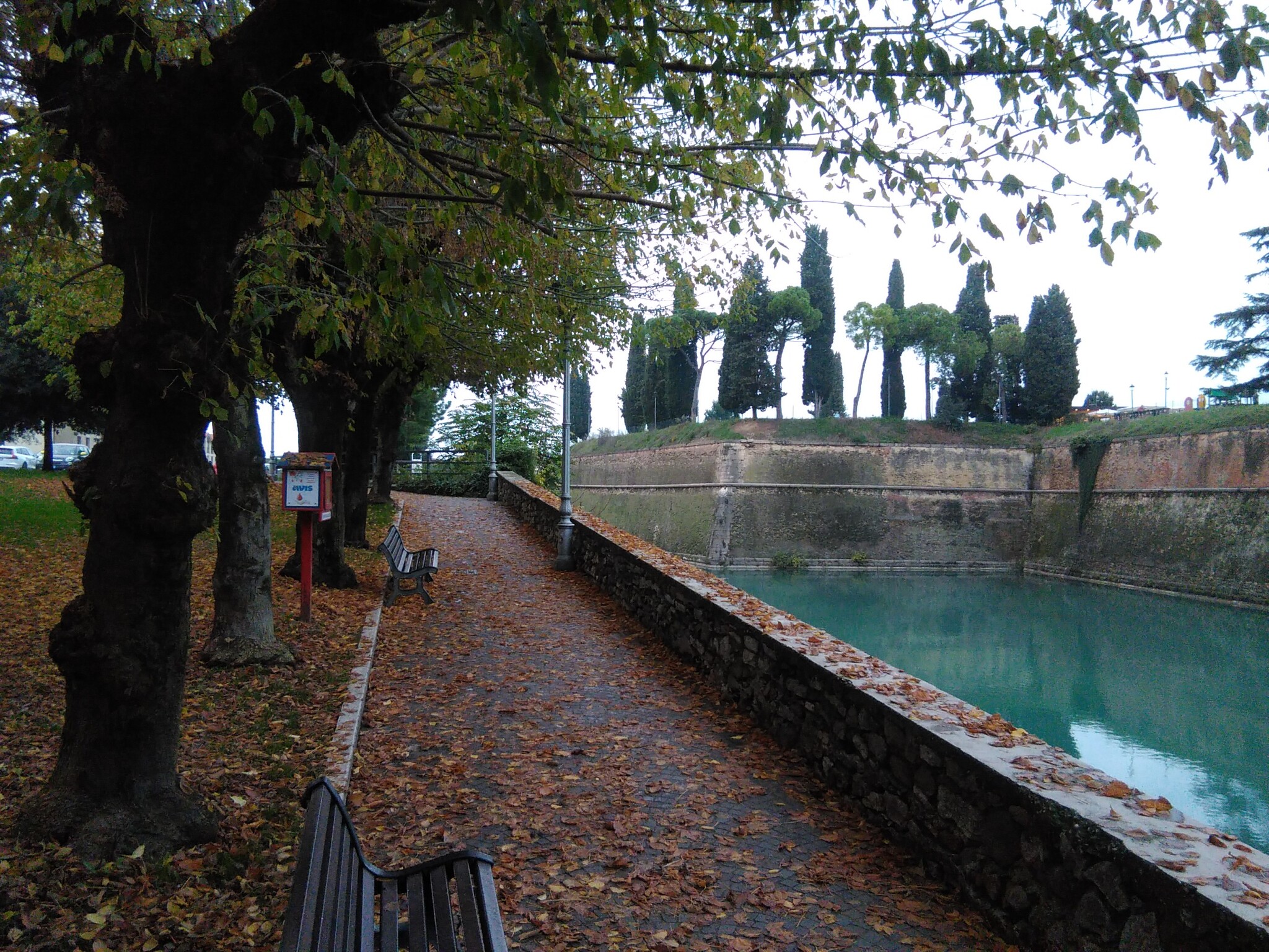 Yellow leaves - My, Travels, The photo, Nature, Italy