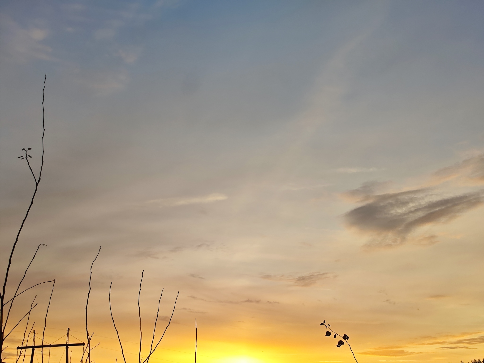 I've been here for a few years and have one subscriber. I post interesting things, but everyone else has found the colander more interesting than life. Sad. - My, Unknown crap, Colander, Nature, The photo, beauty, Forest