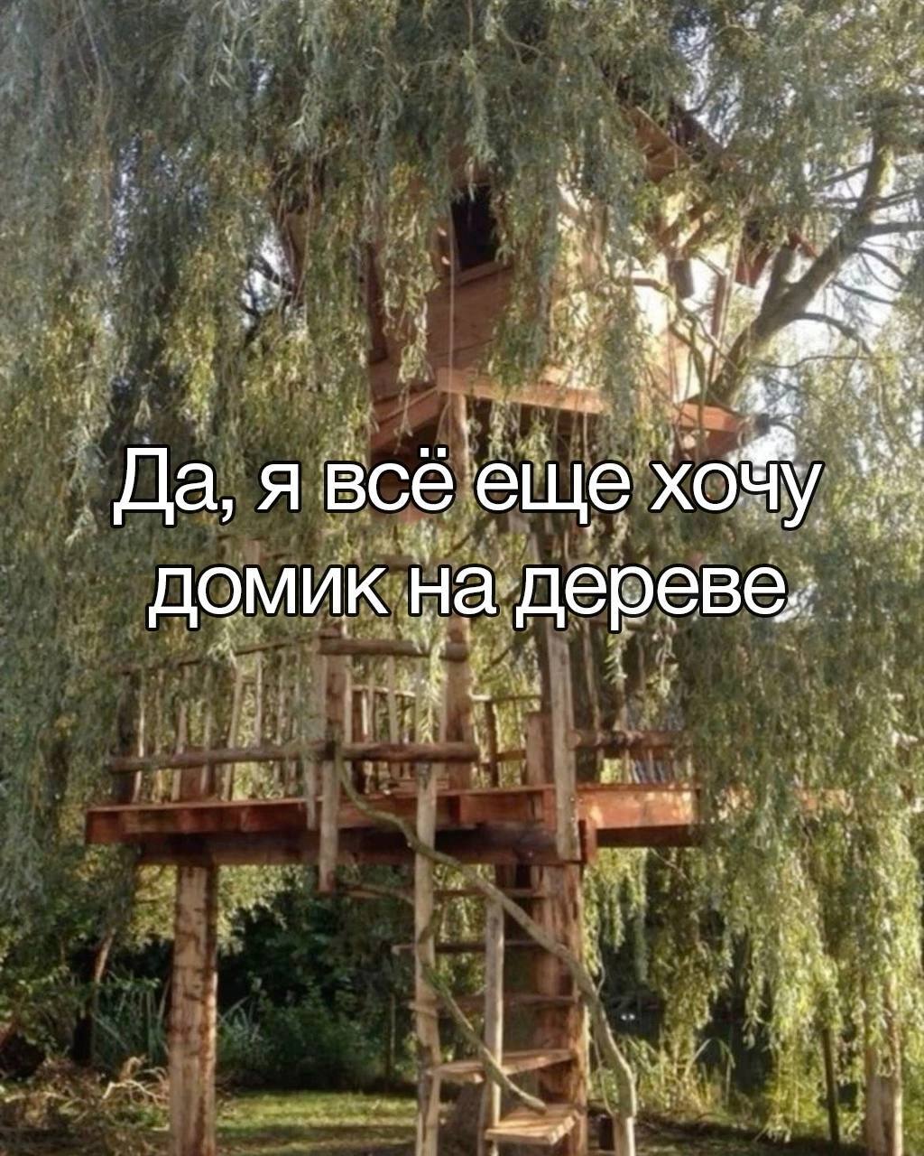 When I saw mortgage rates and apartment prices - Moscow, Moscow region, Humor, The property, Housing problem, Lodging, New building, Tree house, House in the woods, Mortgage, Reduced mortgage rates, Dream, Wish