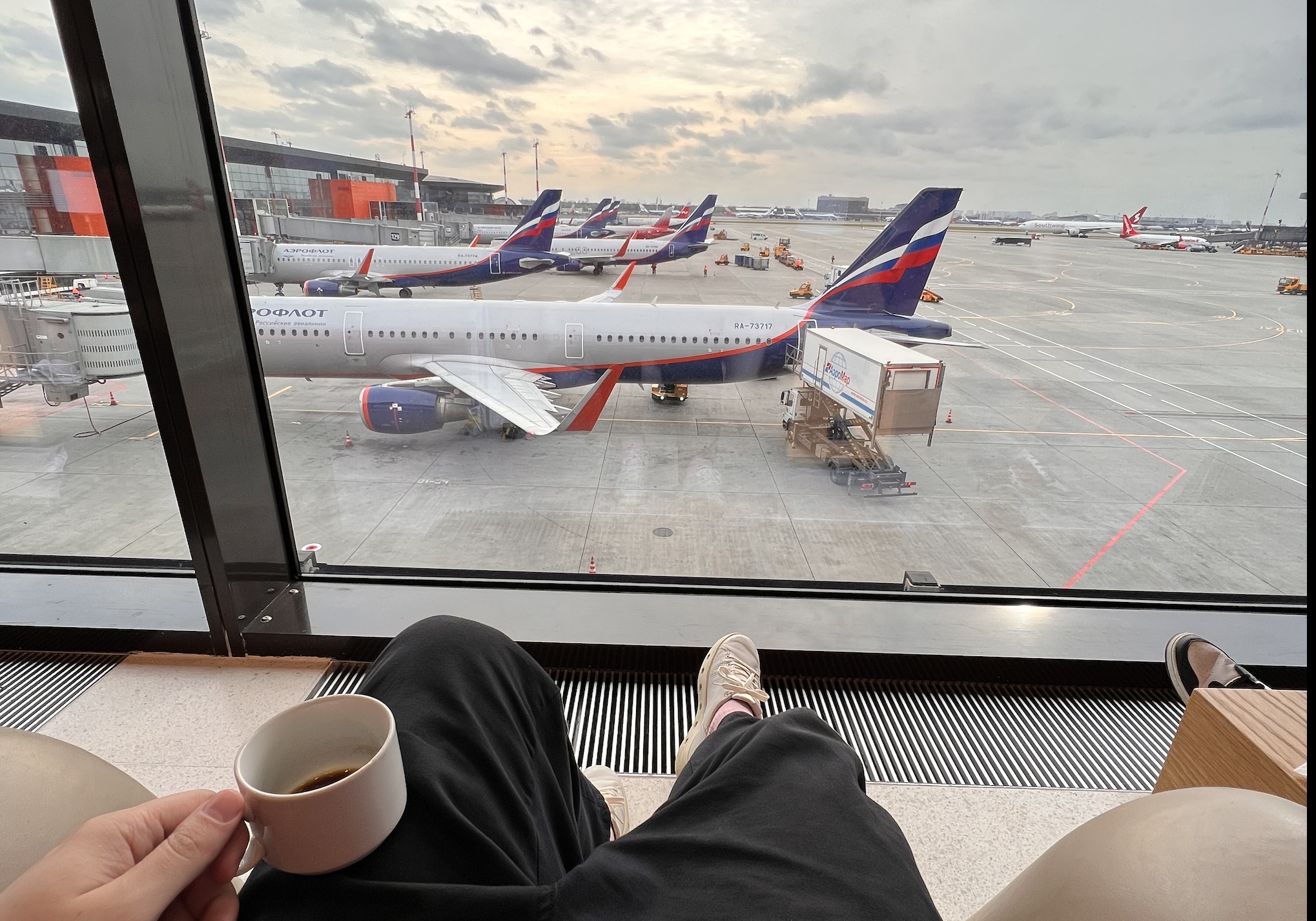 Opened for everyone. I went to the premium business lounge at Sheremetyevo airport, where there are now a lot of people - My, Travel across Russia, Sheremetyevo, Moscow, Tourism, Video, Vertical video, Longpost