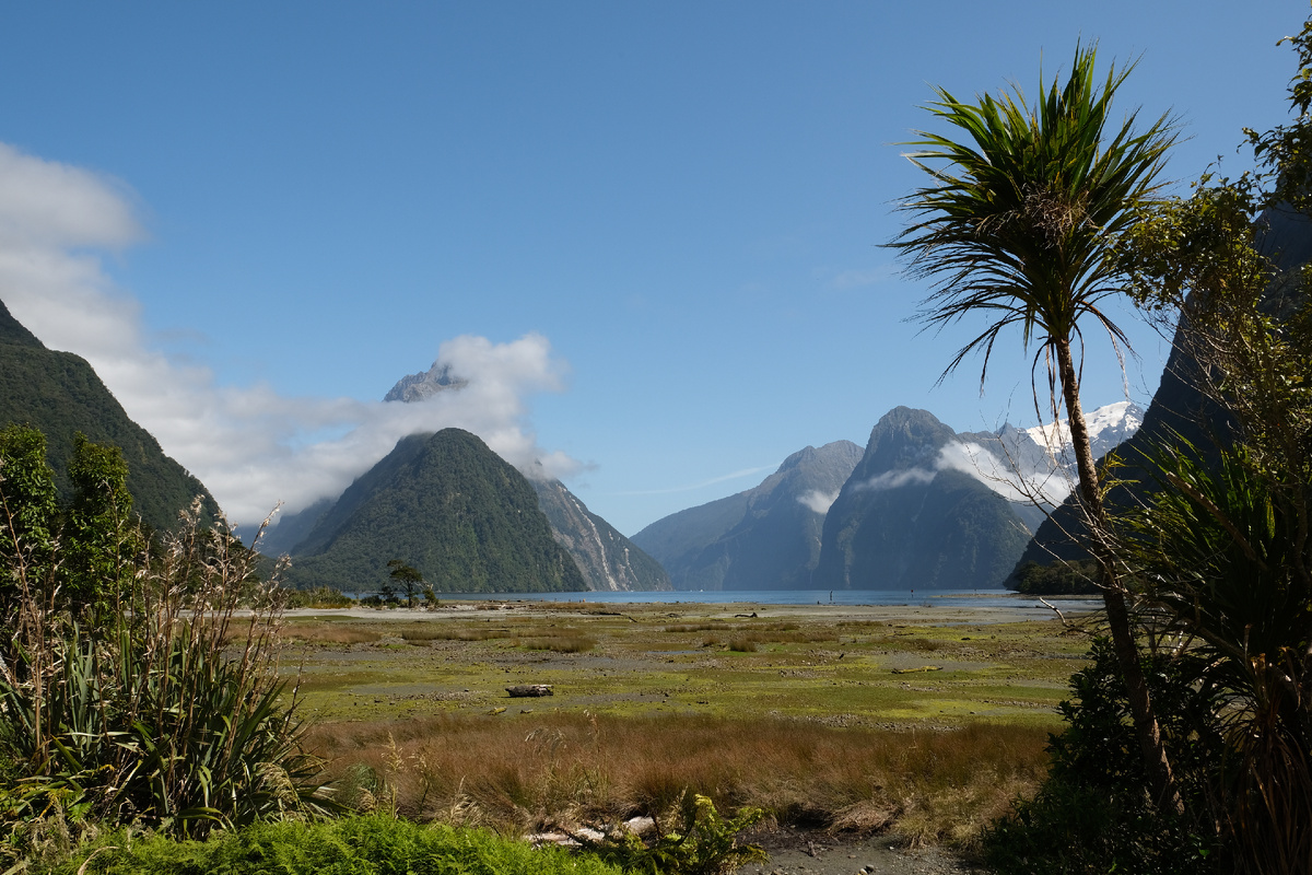 New Zealand. Upside Down on a Long White Cloud. Part 1 - New Zealand, Oakland, Wellington, James Cook, Mutton, Island, Ocean, Maori, Longpost