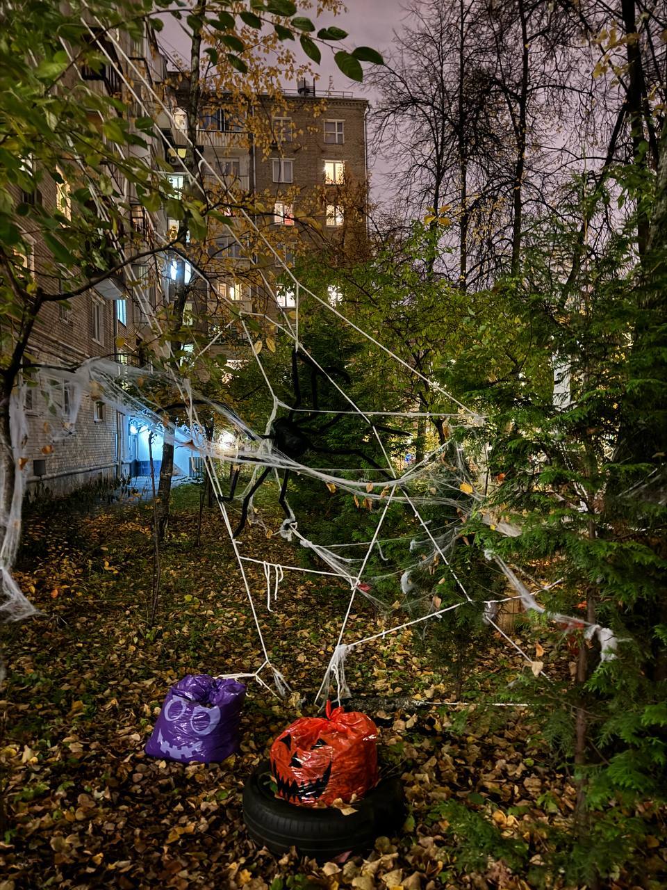 На Москву надвигается Хэллоуин - Моё, Москва, Ломоносовский район, ЮЗАО, Юго-Запад, Хэллоуин, Тыква на Хэллоуин, Костюм на Хэллоуин, Тыква, Тыквенный спас, Праздники, Фотография, Паутина, Призрак, Страшно, Ужас, Trick-Or-Treat, Сверхъестественное, Длиннопост