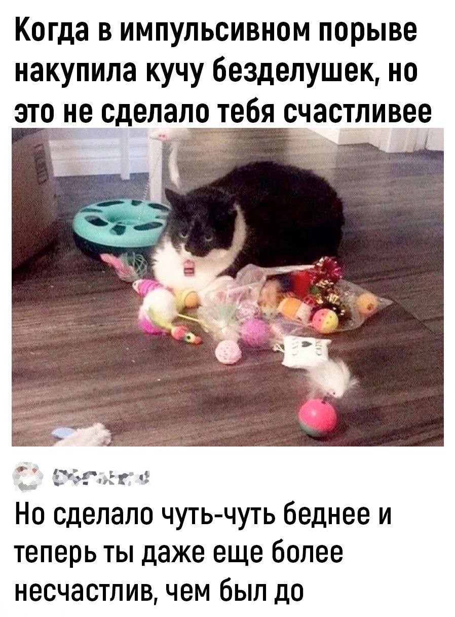 Happiness - Psychology, Психолог, Picture with text, Humor, Memes, Internal dialogue, Sad humor, Psychotherapy, Brain, Happiness, cat, Anxiety, Fatigue, Telegram (link)